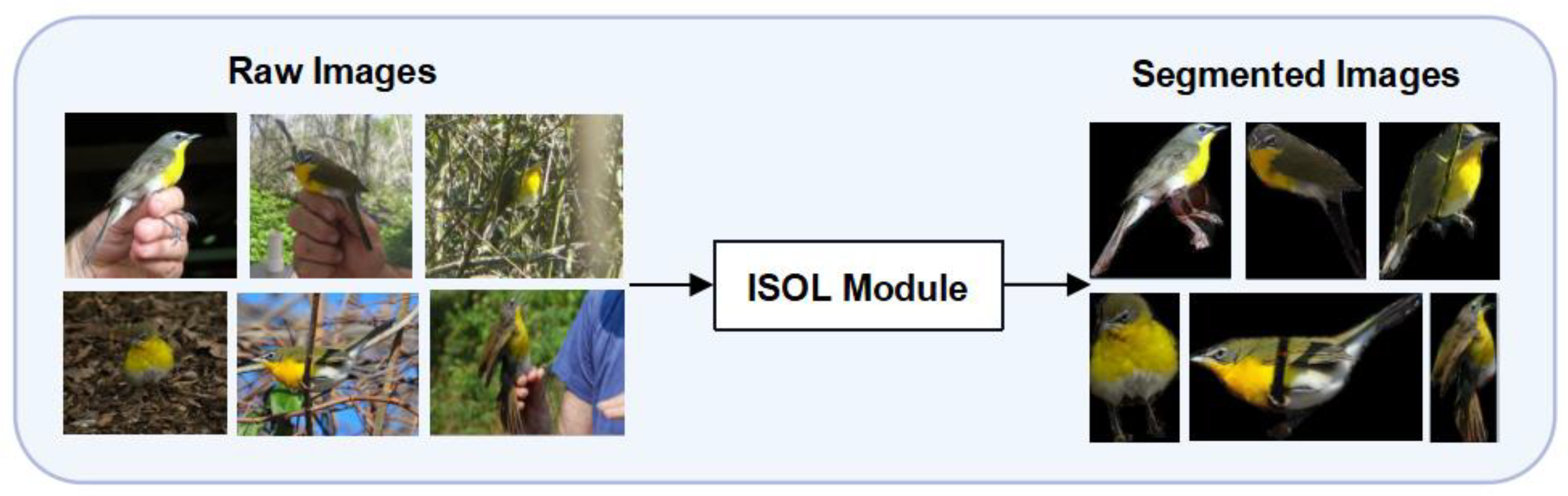 Applsci 13 06518 g004