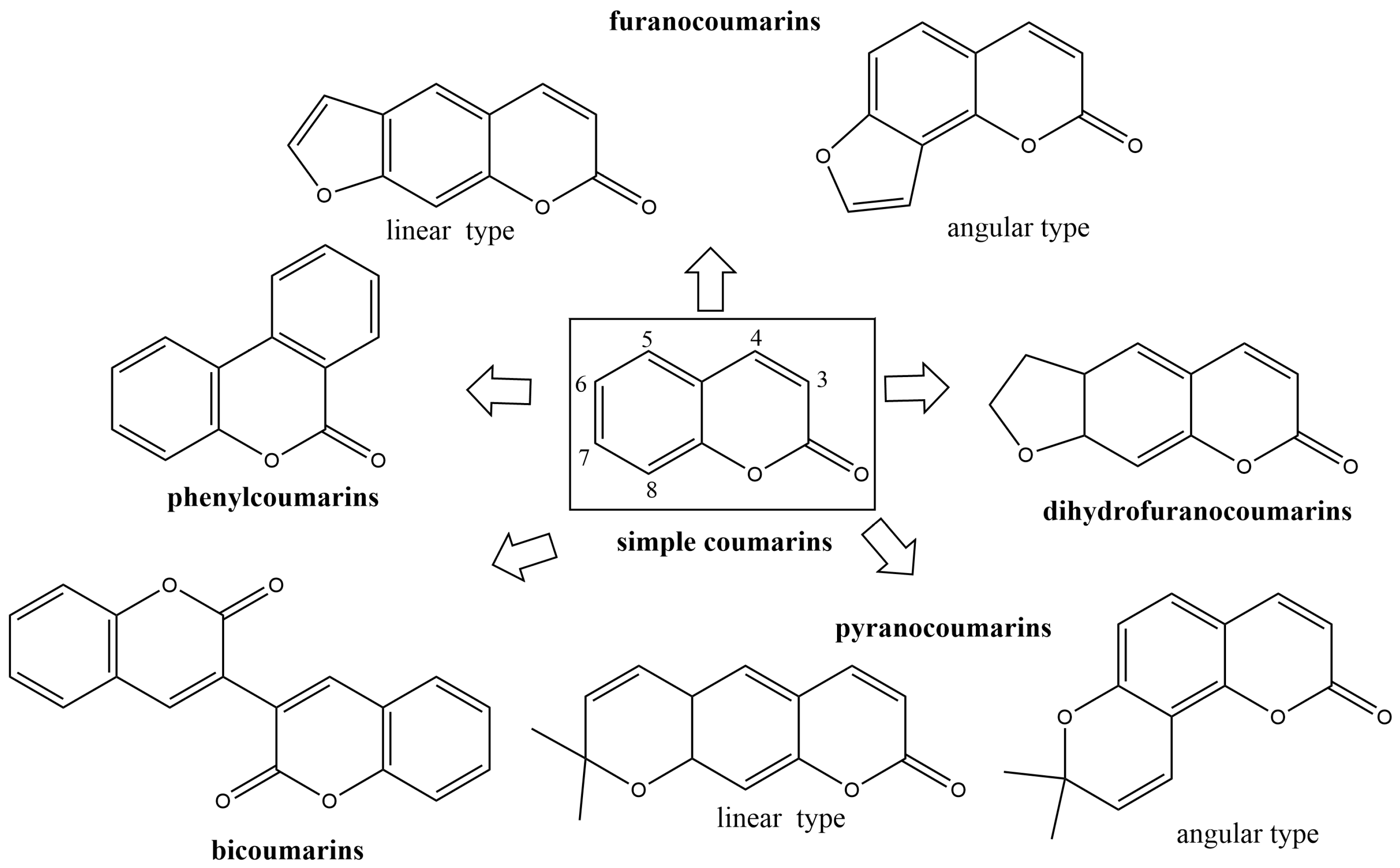 Applsci 13 06535 g001