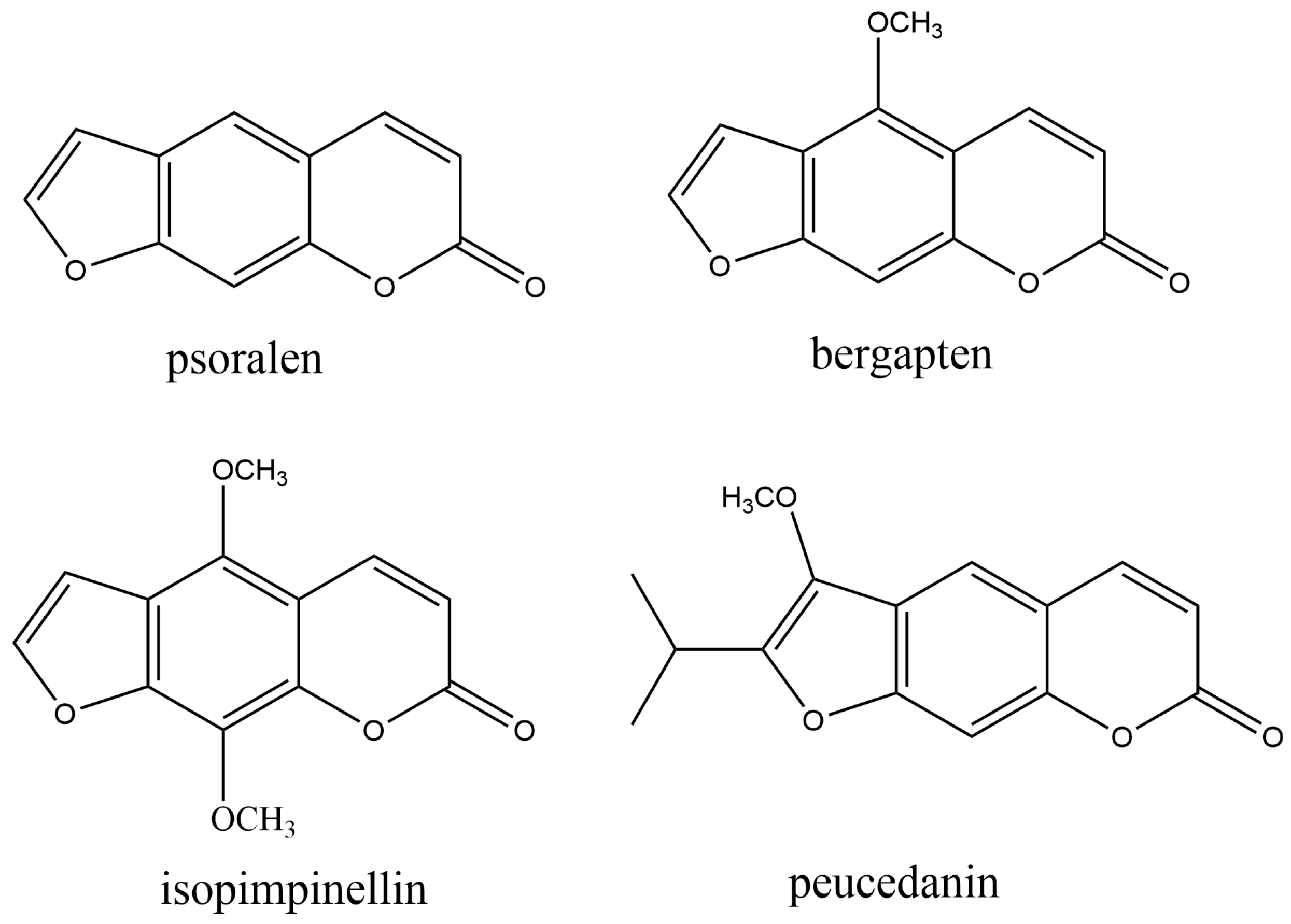 Applsci 13 06535 g003