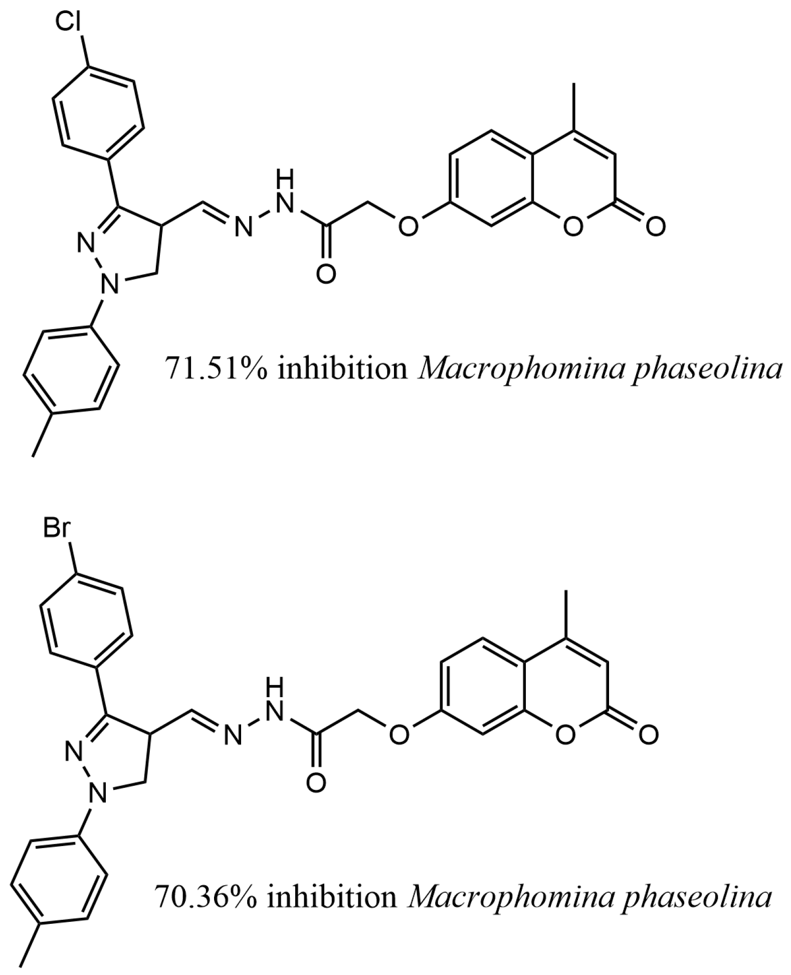 Applsci 13 06535 g007