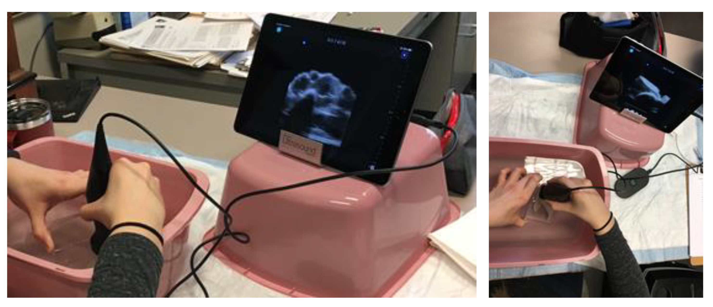 Applsci 13 06551 g002