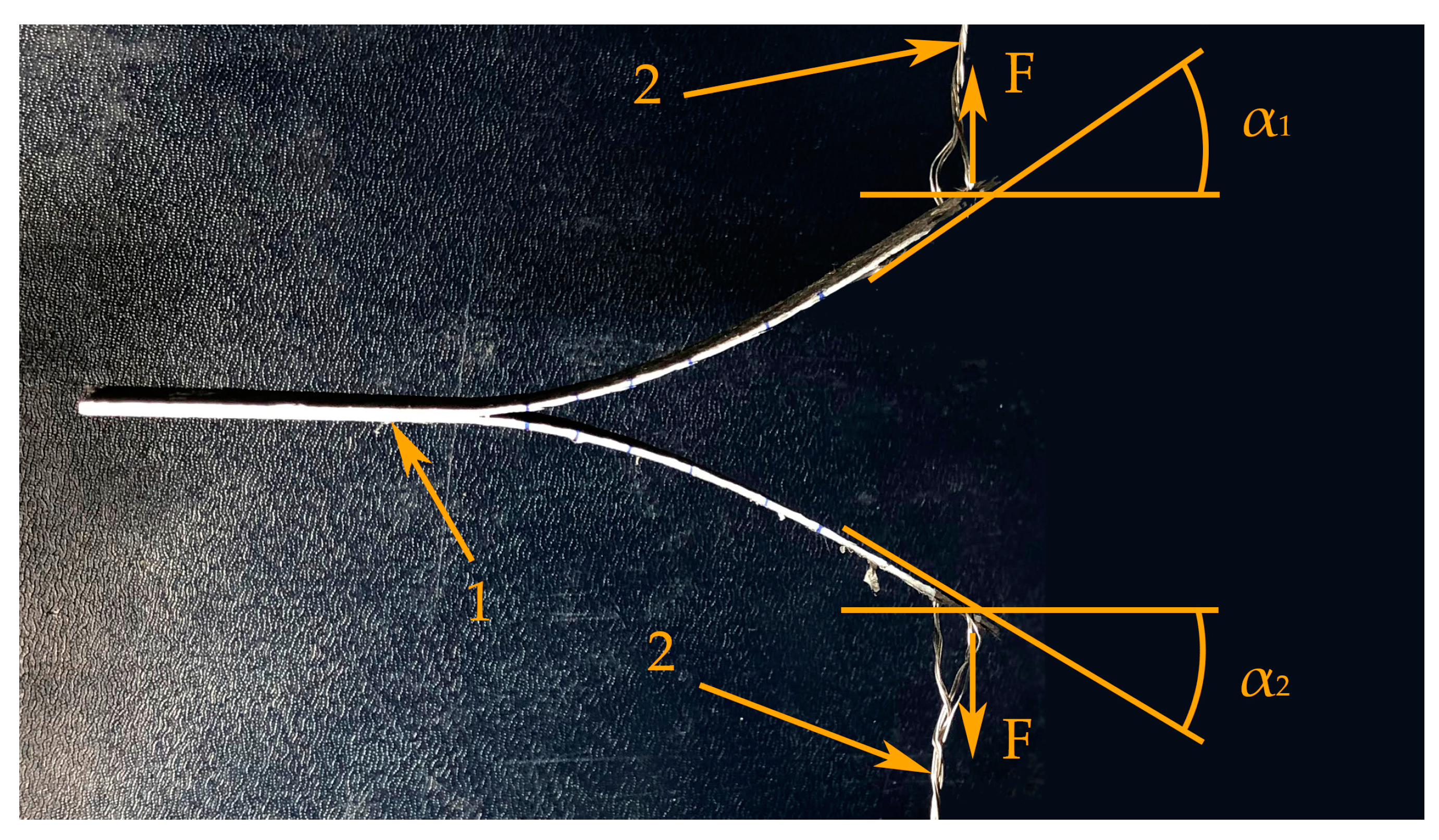 Applsci 13 06557 g002