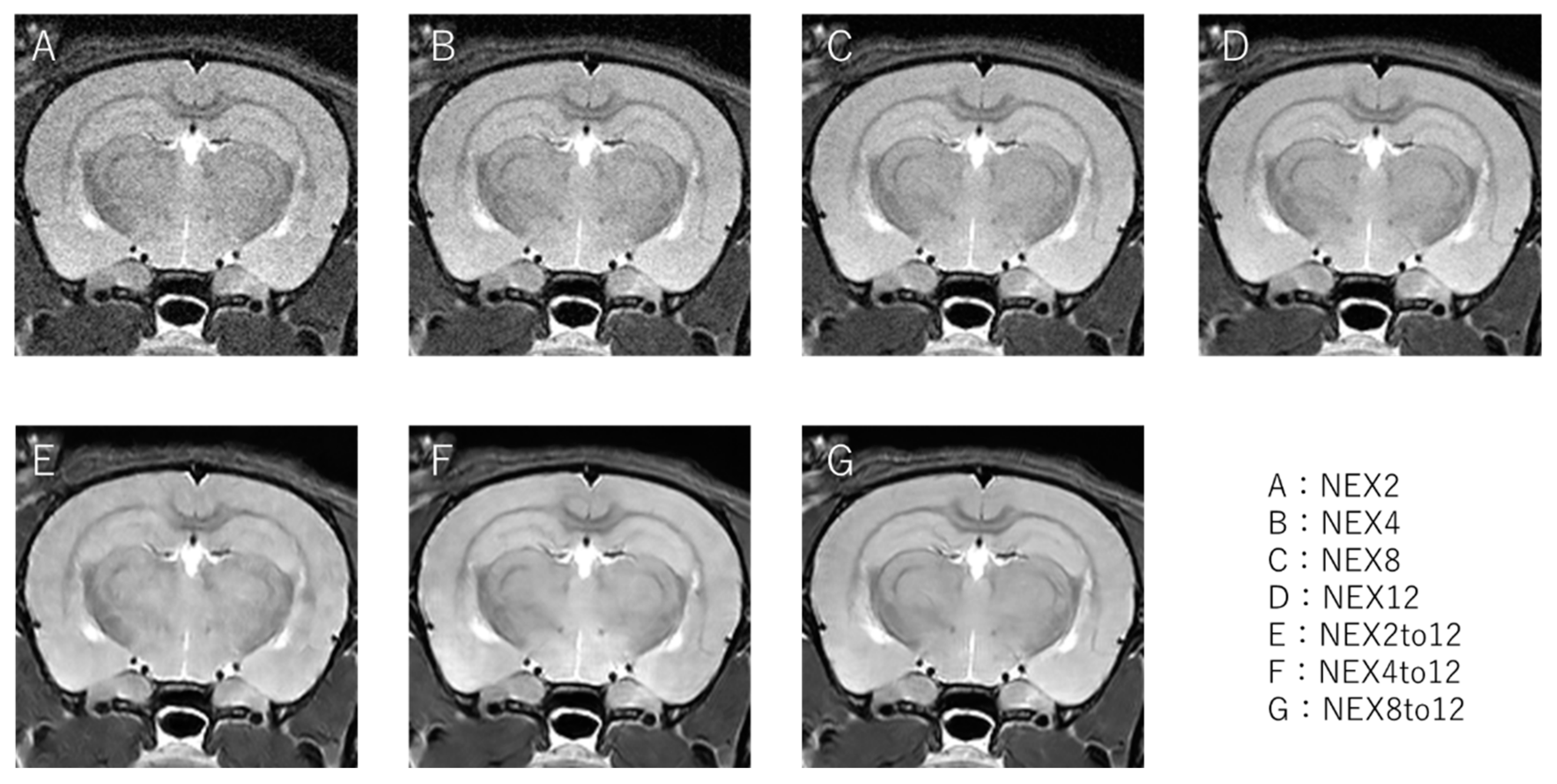 Applsci 13 06567 g002