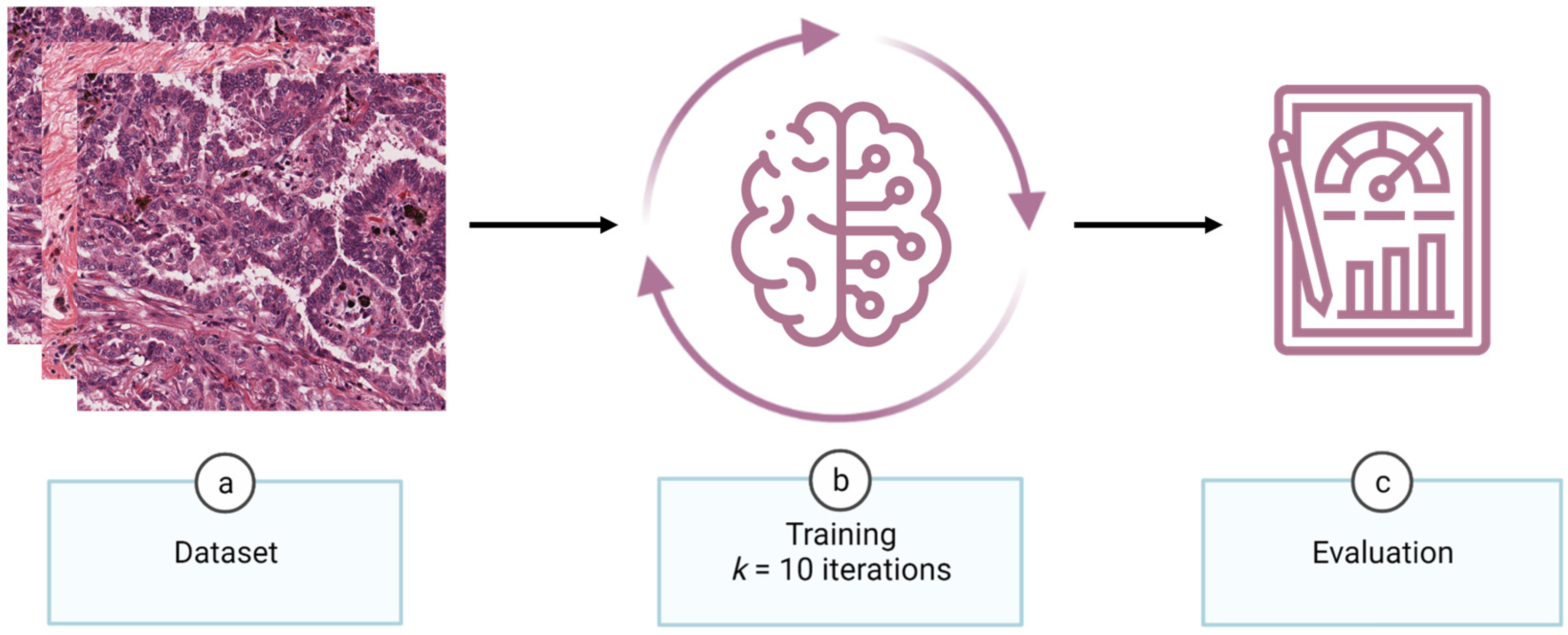 Applsci 13 06571 g005