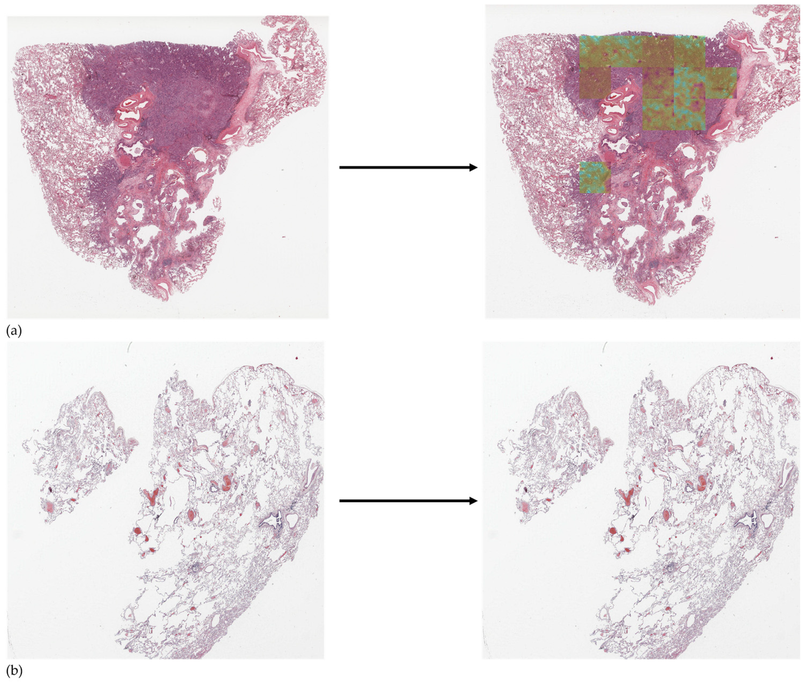 Applsci 13 06571 g006