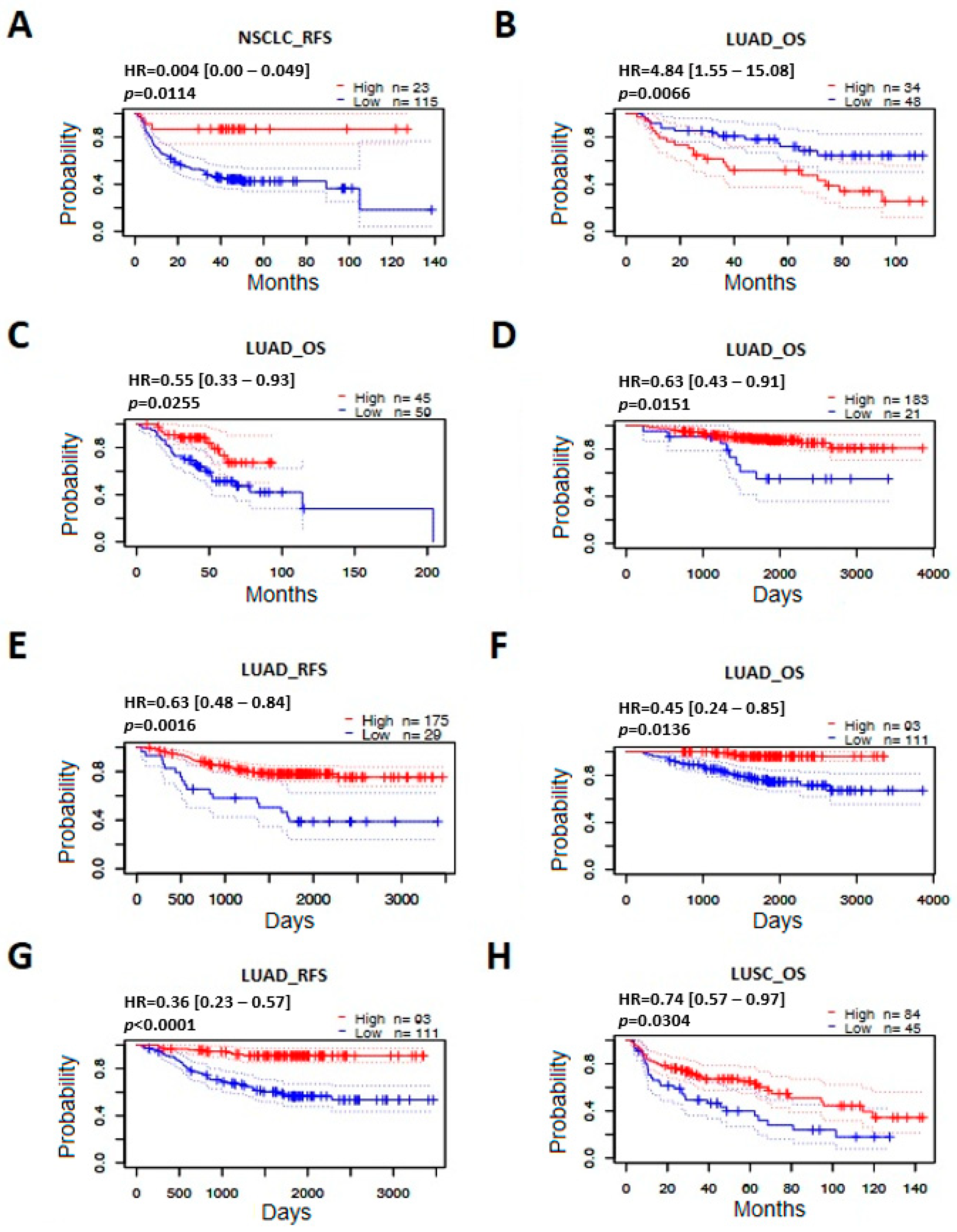 Applsci 13 06576 g008