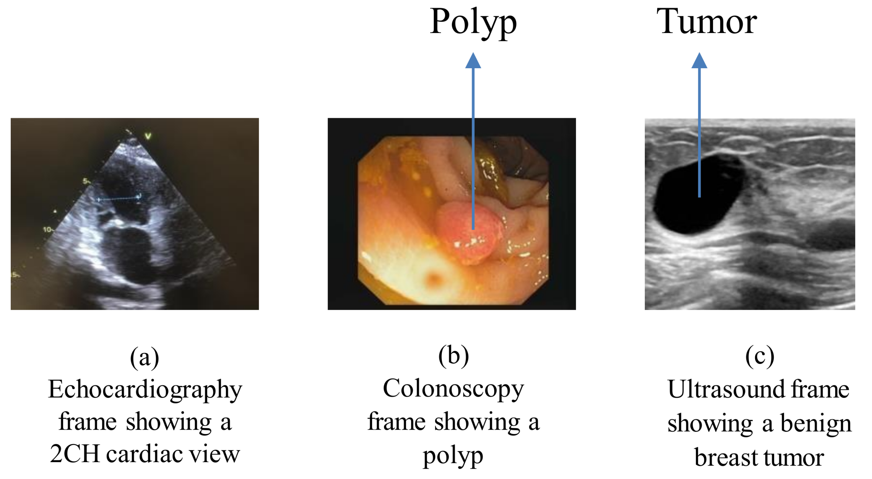 Applsci 13 06582 g002 Applsci 13 06582 g002