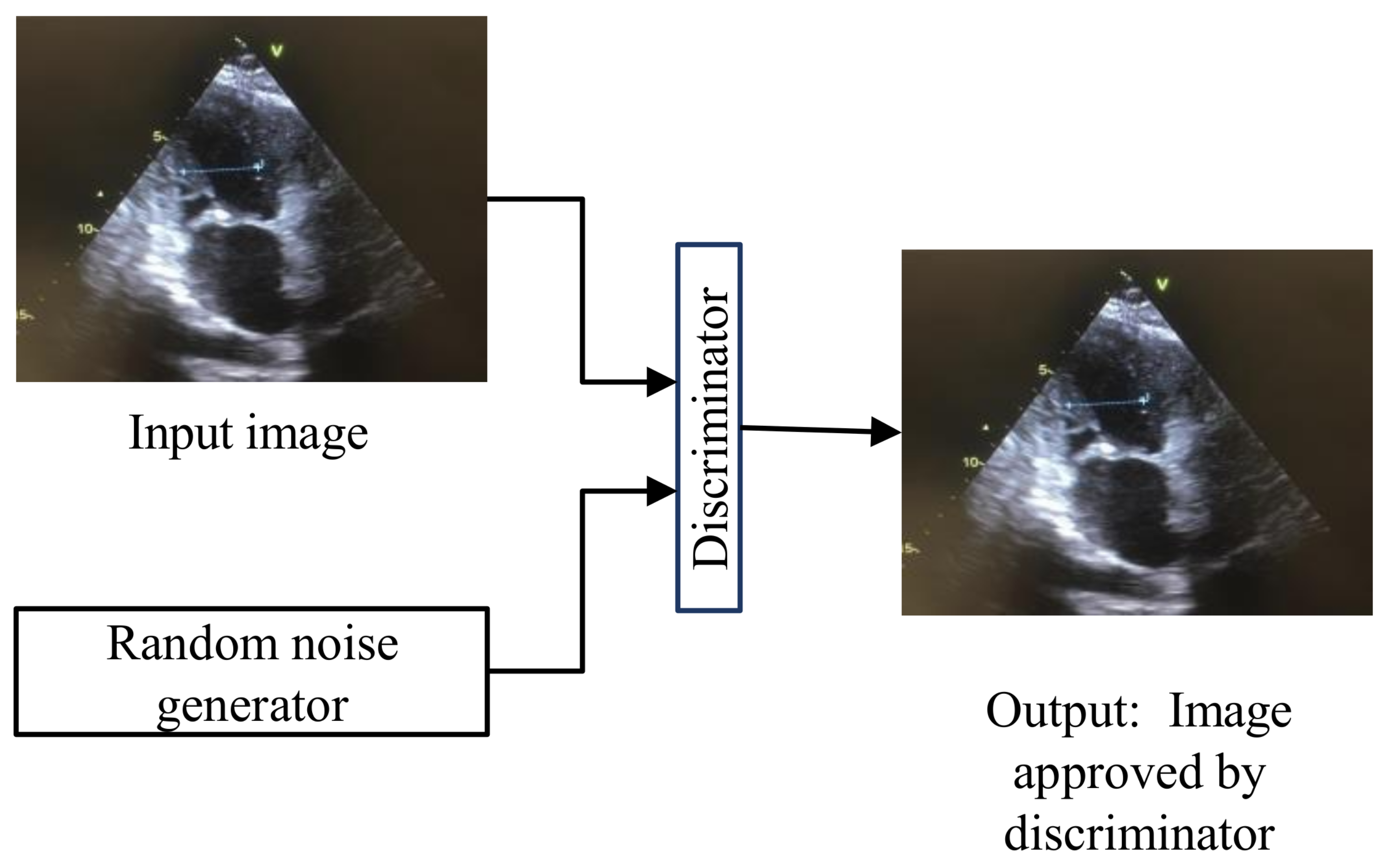 Applsci 13 06582 g005 Applsci 13 06582 g005