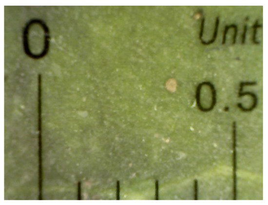 Applsci 13 06591 g0a1