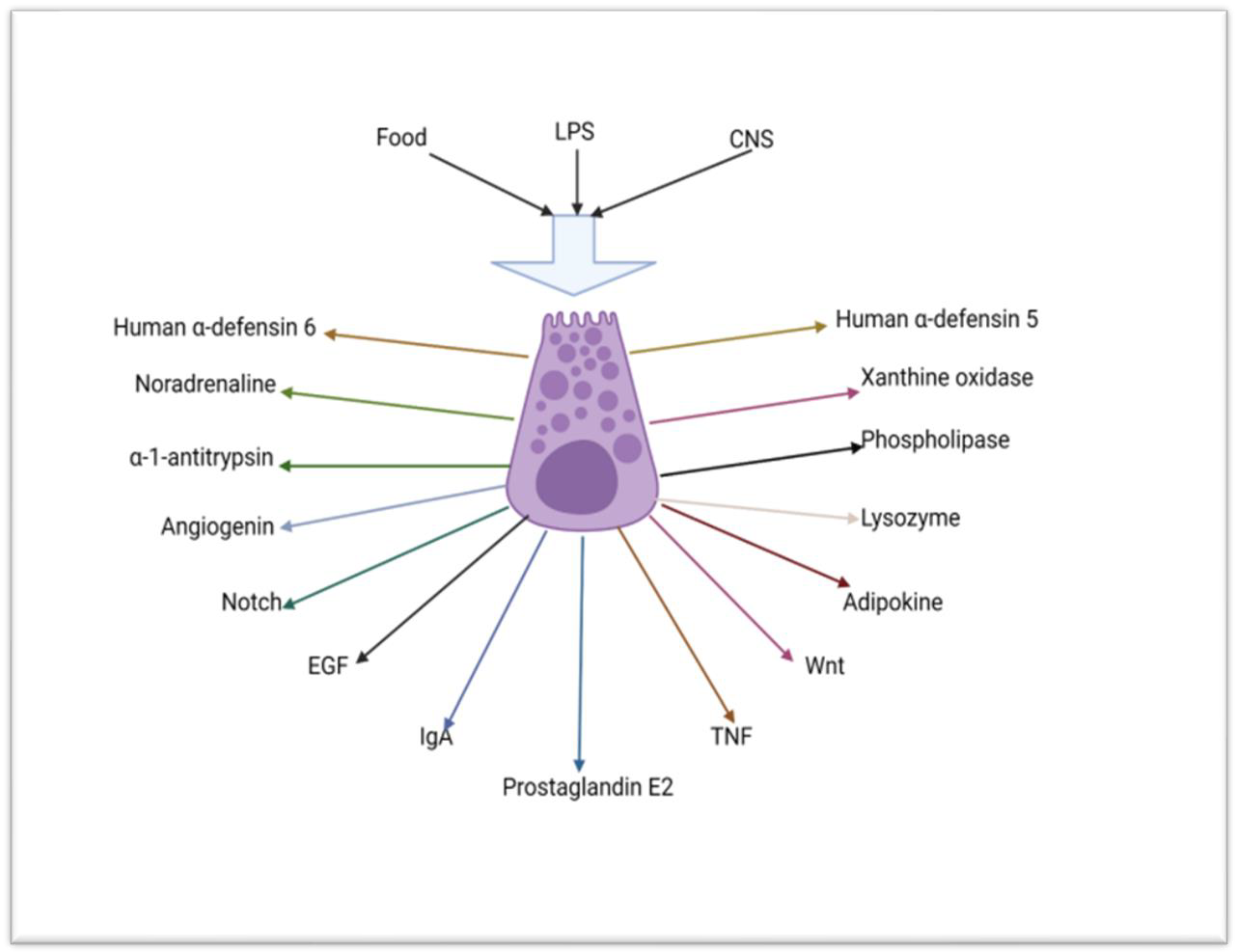 Applsci 13 06605 g002