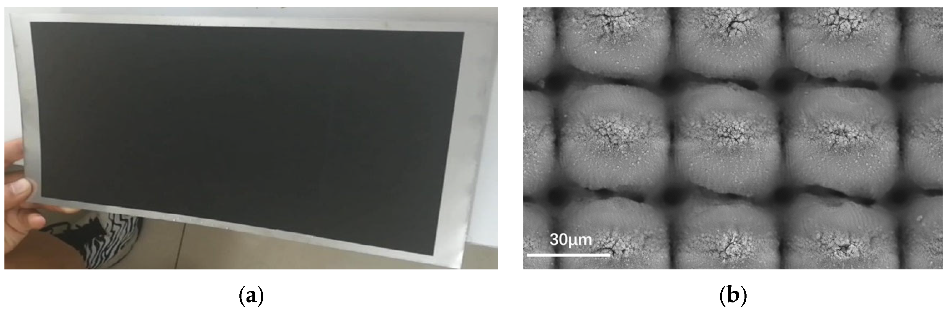 Applsci 13 06607 g004