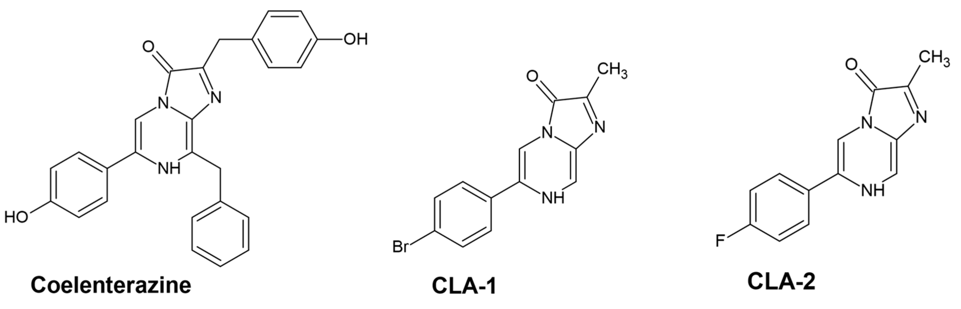 Applsci 13 06617 g001 Applsci 13 06617 g001