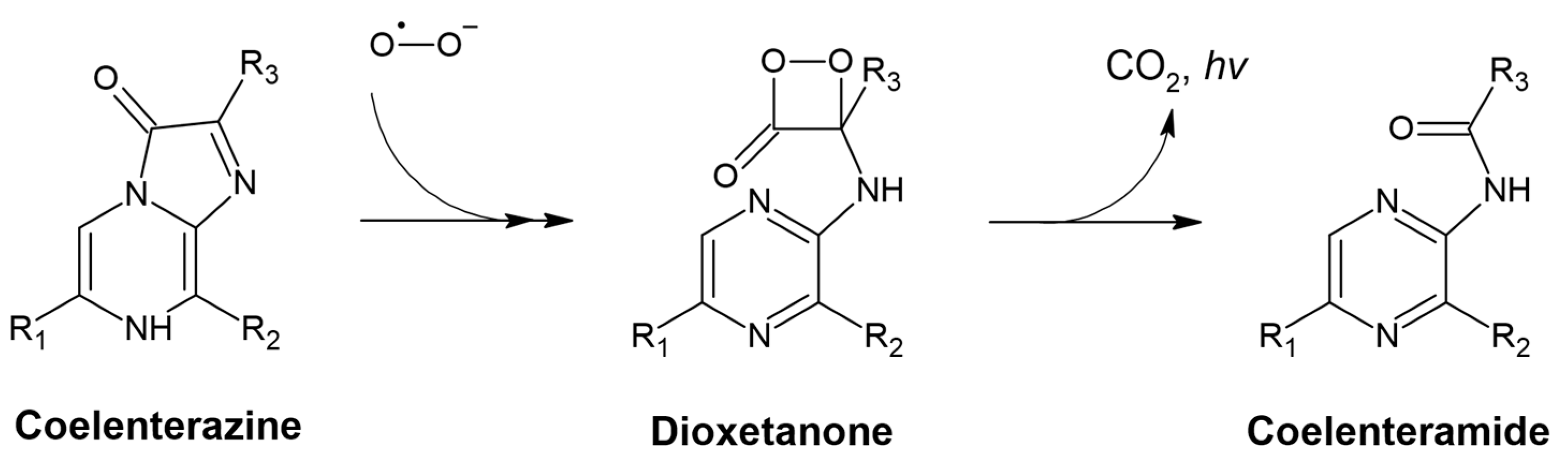 Applsci 13 06617 sch001 Applsci 13 06617 sch001