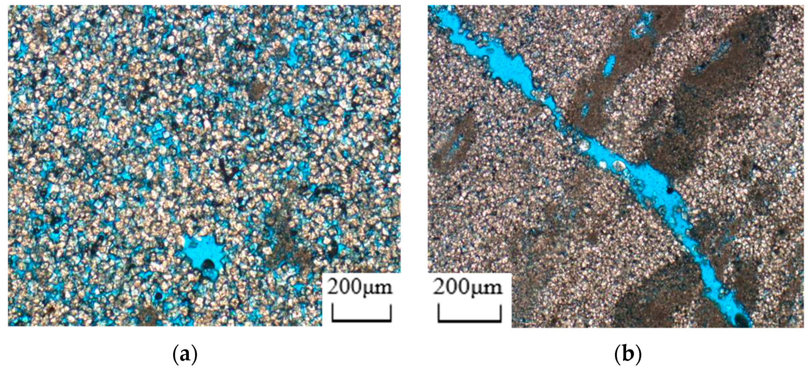 Applsci 13 06642 g001