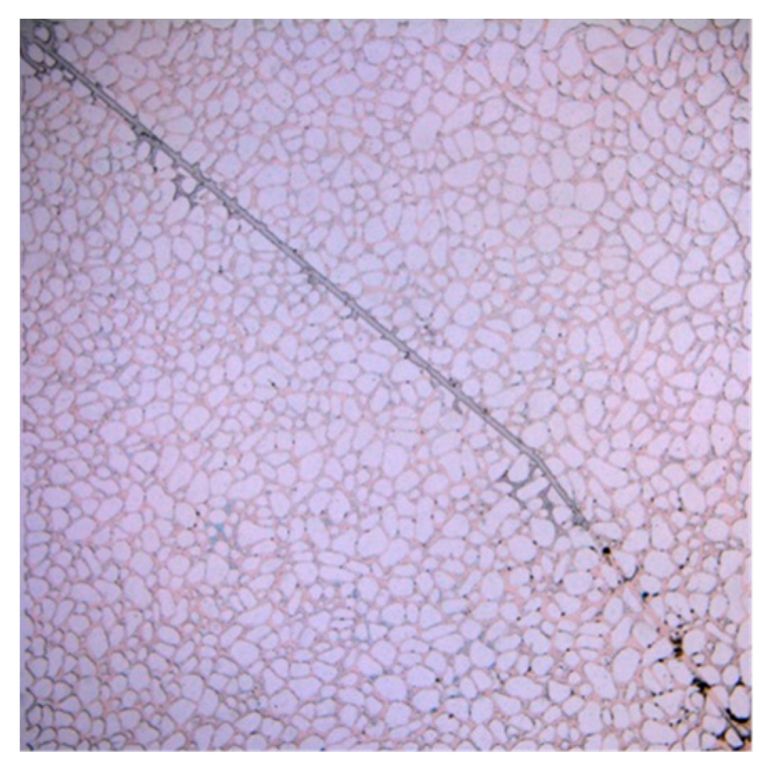 Applsci 13 06642 g012