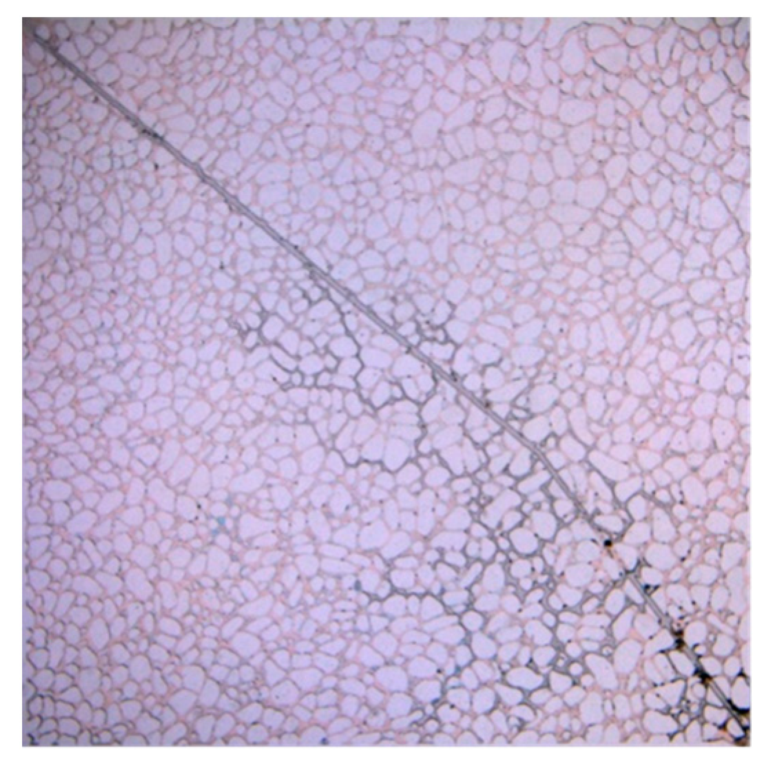 Applsci 13 06642 g014