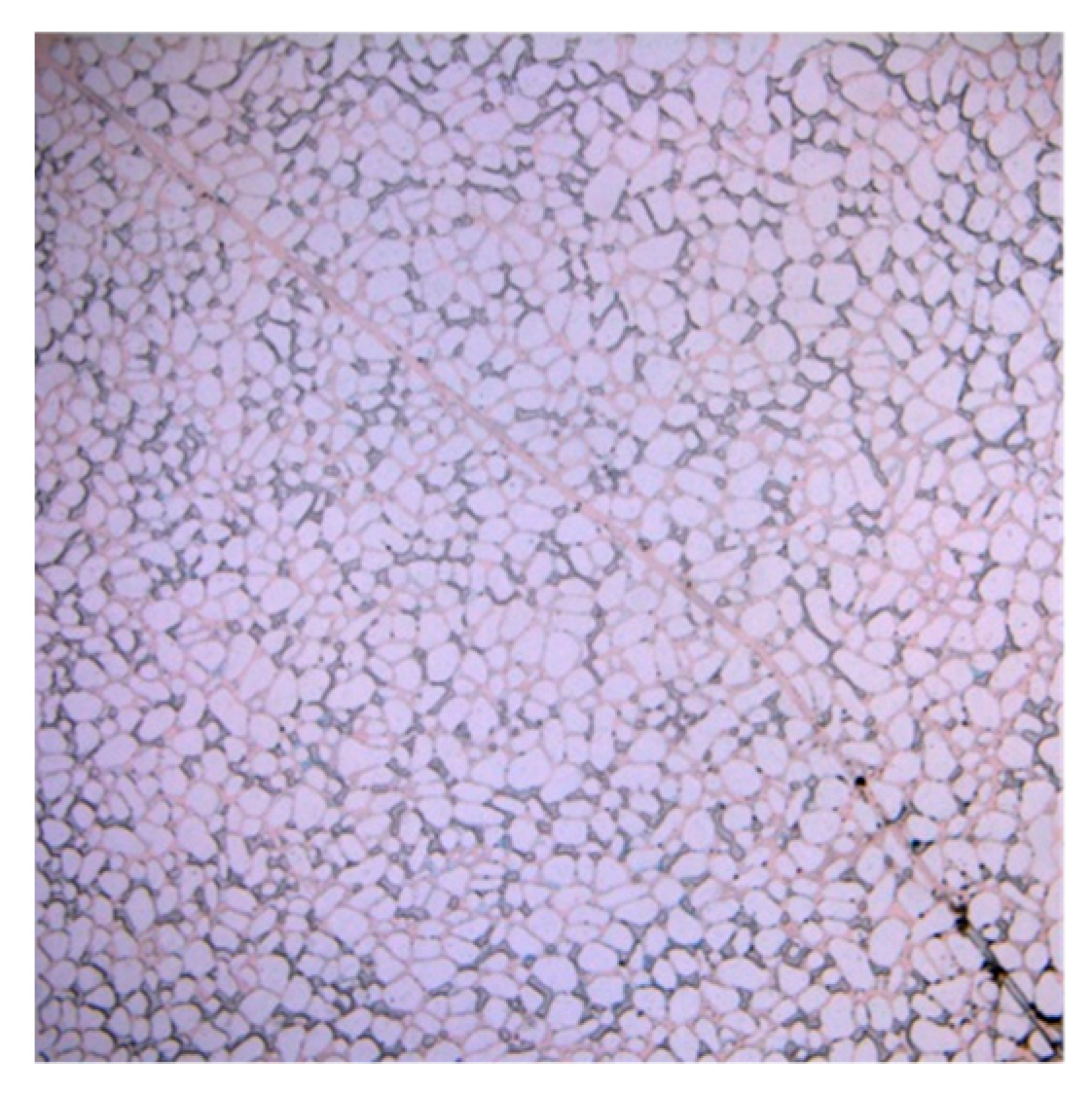 Applsci 13 06642 g017