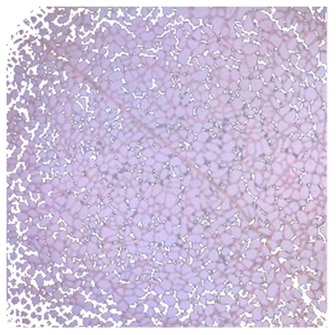 Applsci 13 06642 g018