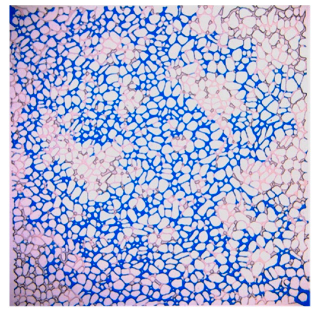 Applsci 13 06642 g022