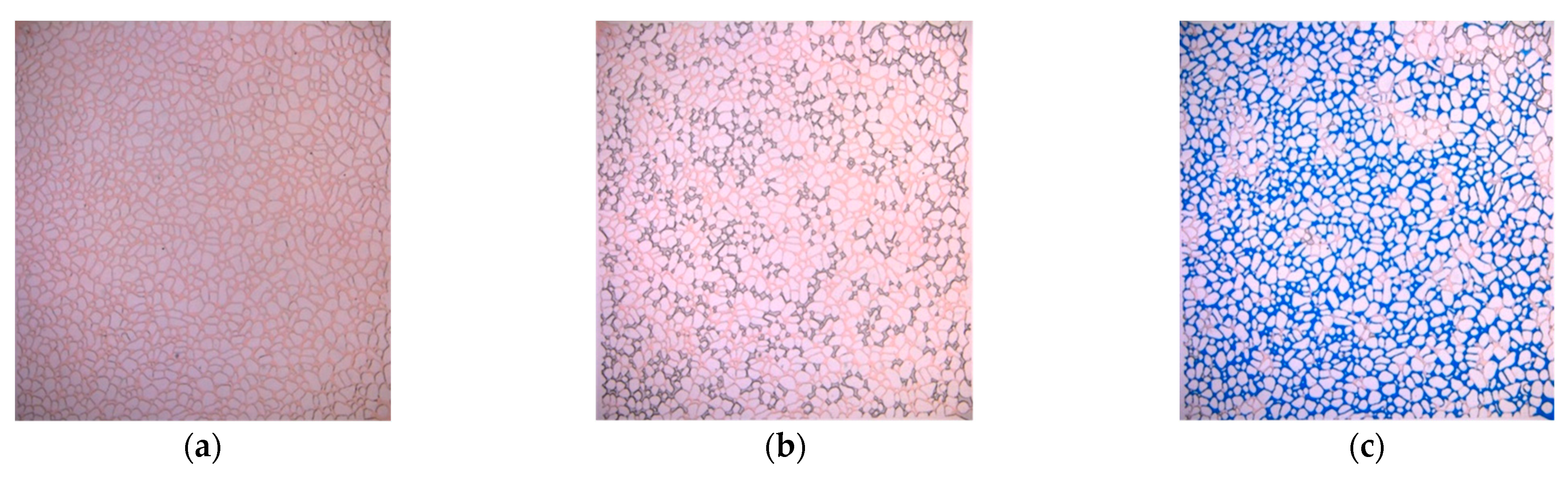 Applsci 13 06642 g034