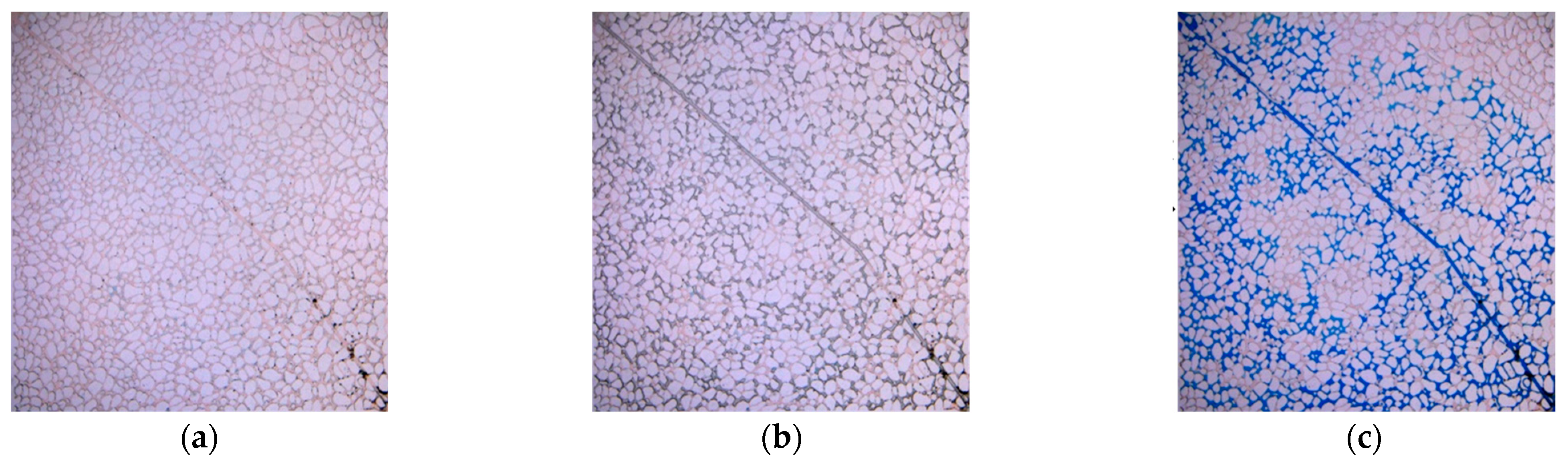 Applsci 13 06642 g035