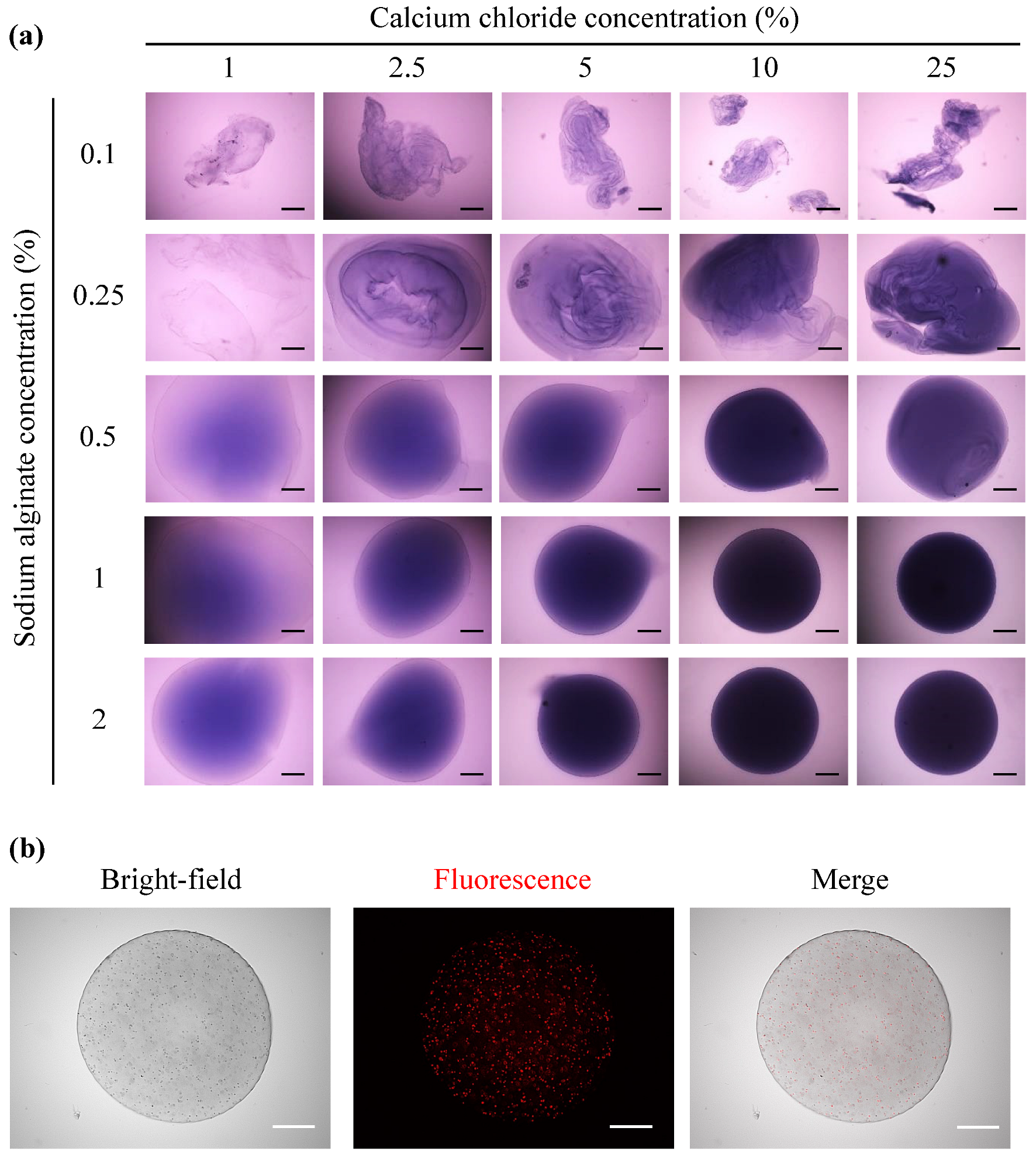 Applsci 13 06676 g001