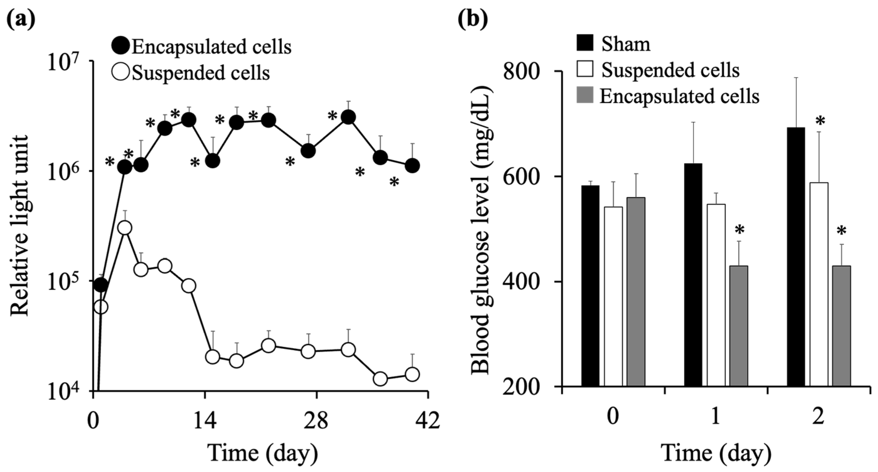 Applsci 13 06676 g005