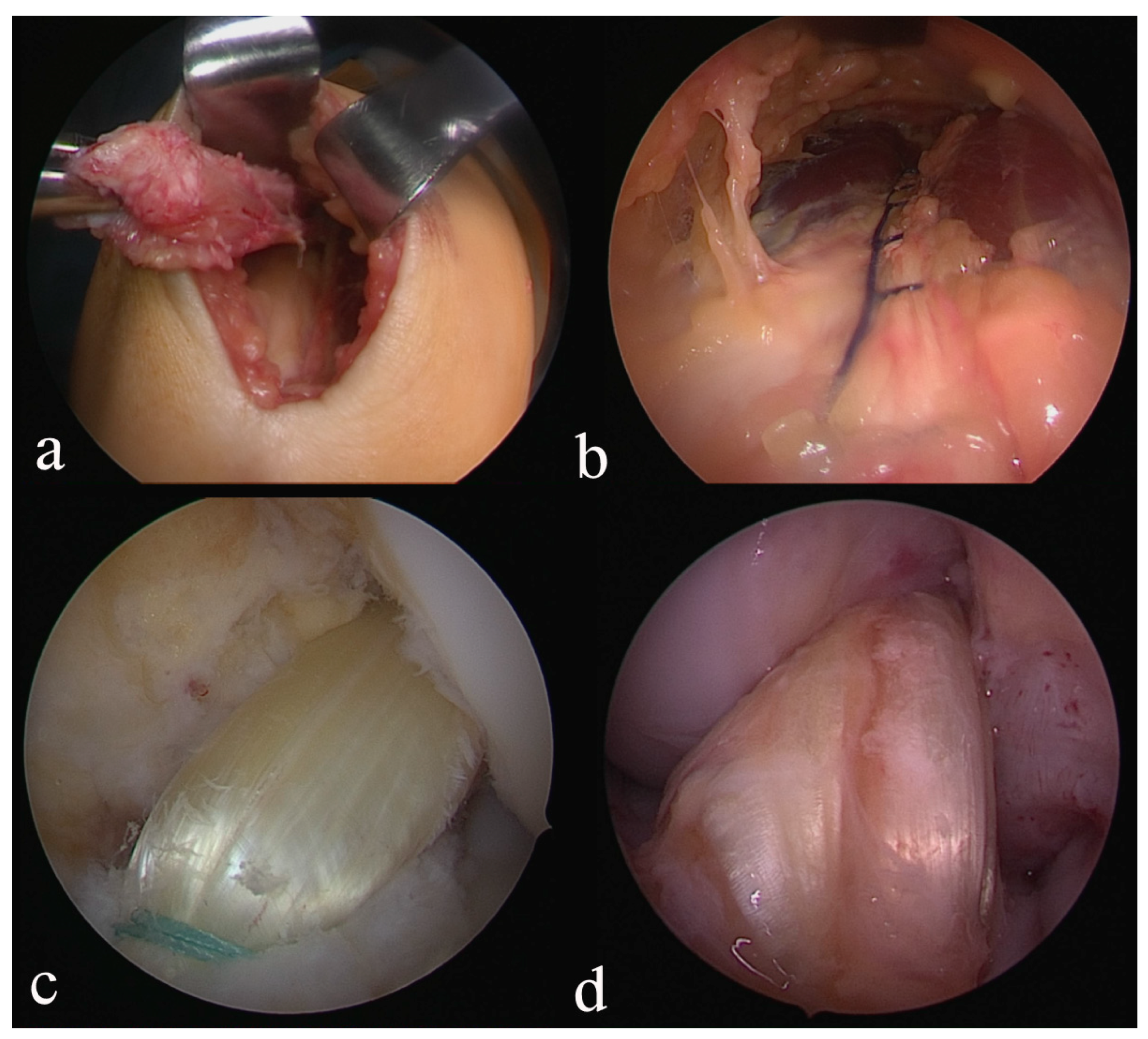 Applsci 13 06715 g001