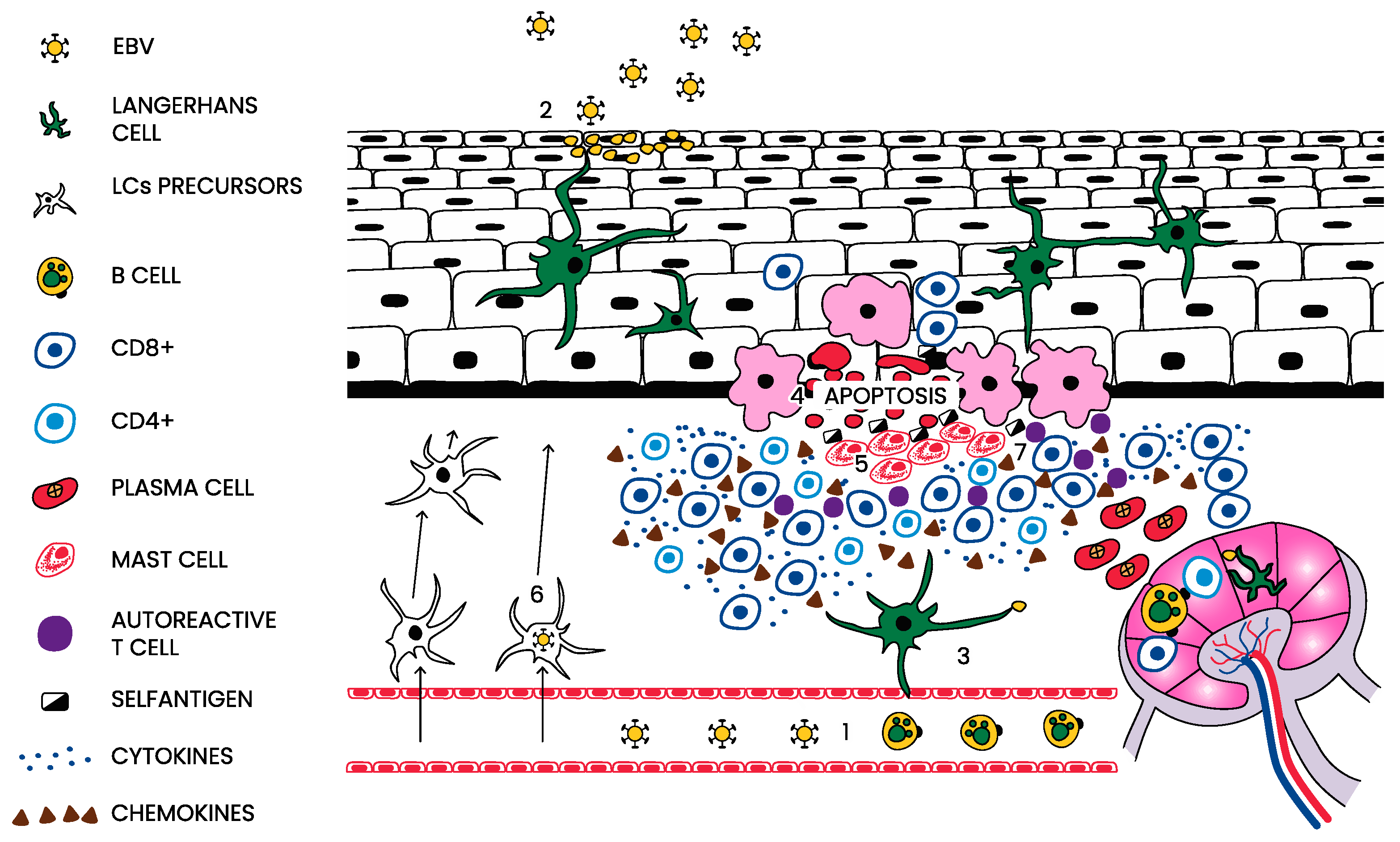 Applsci 13 06735 g001
