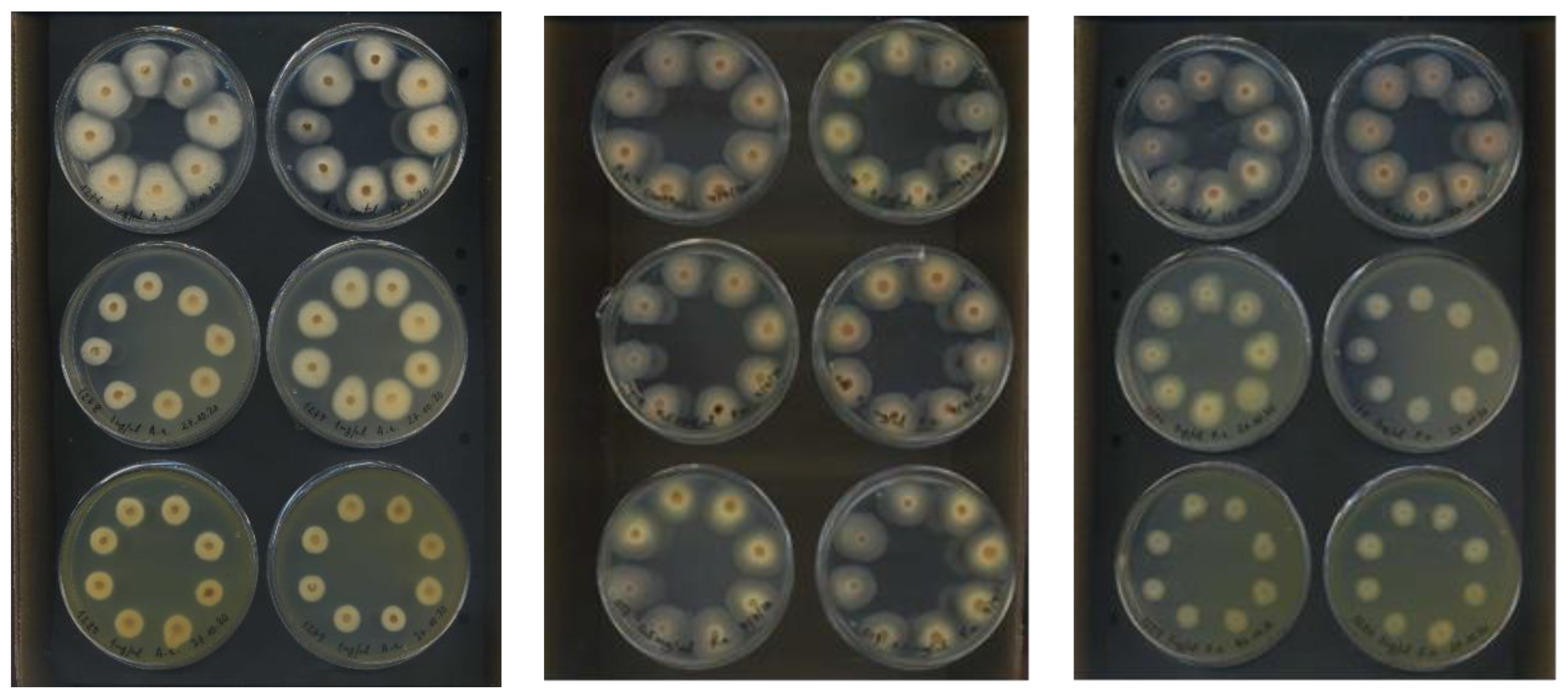 Applsci 13 06736 g004 Applsci 13 06736 g004