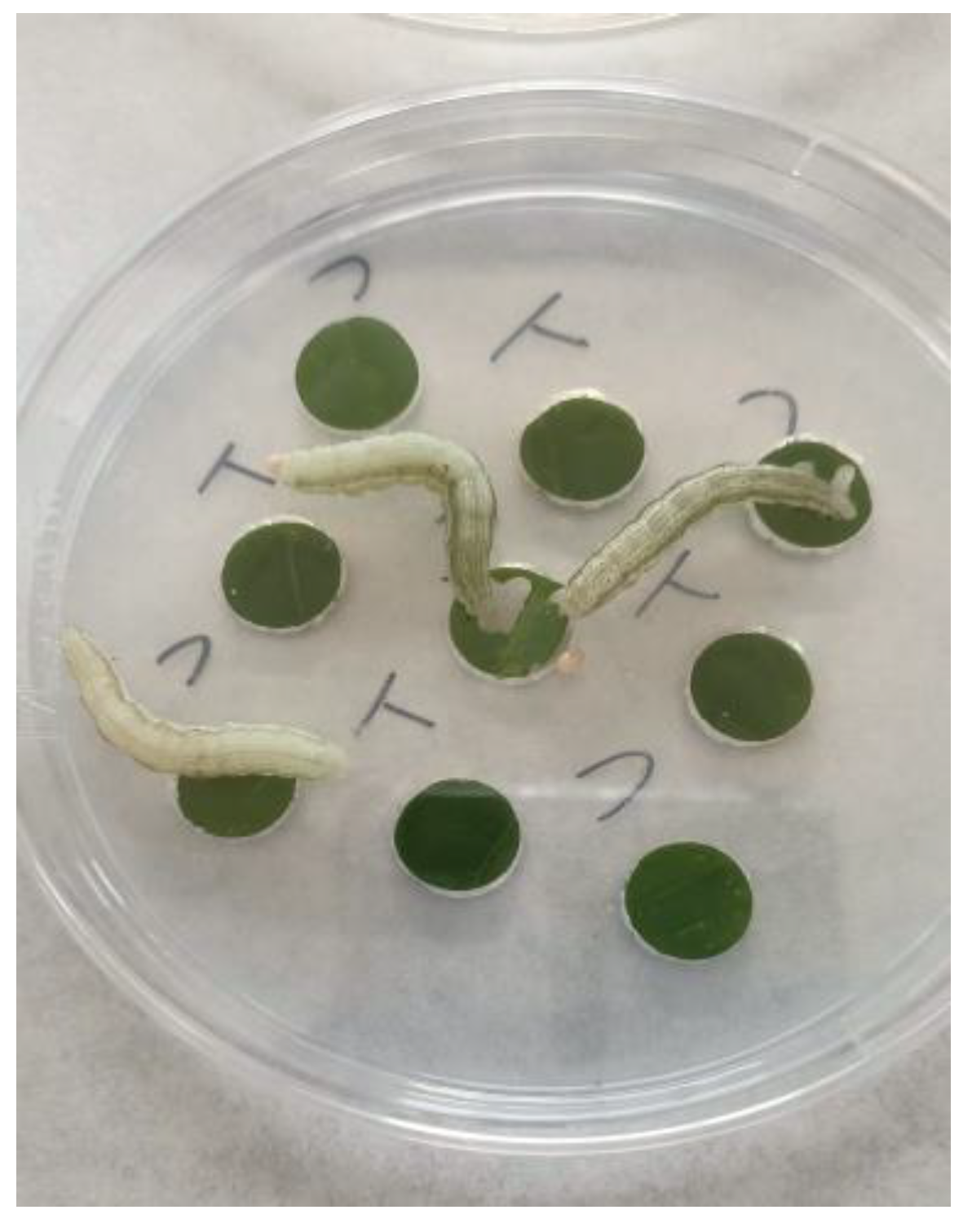 Applsci 13 06736 g005 Applsci 13 06736 g005