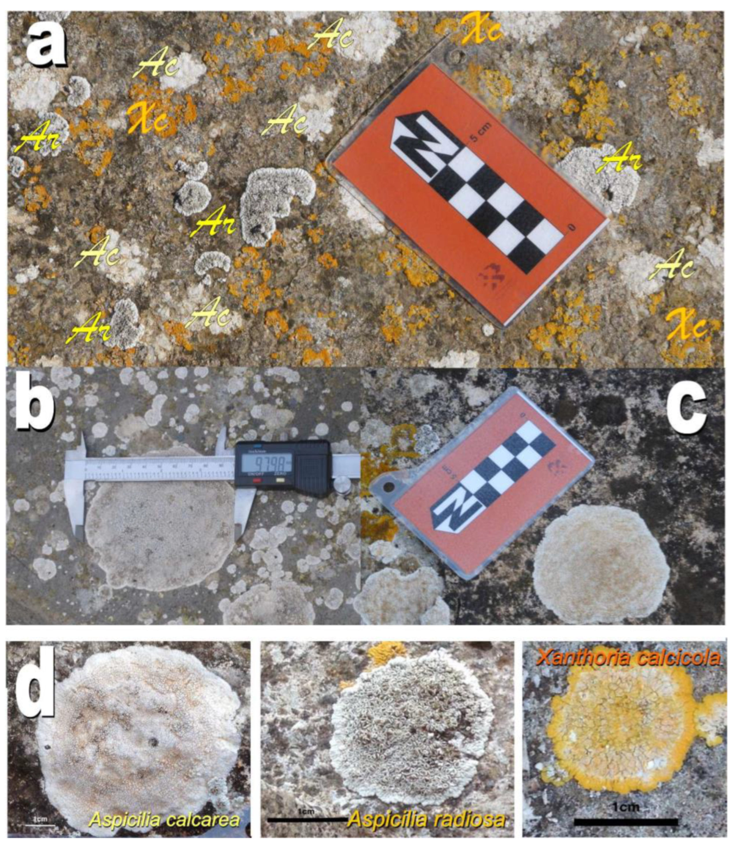 Applsci 13 06739 g005 Applsci 13 06739 g005