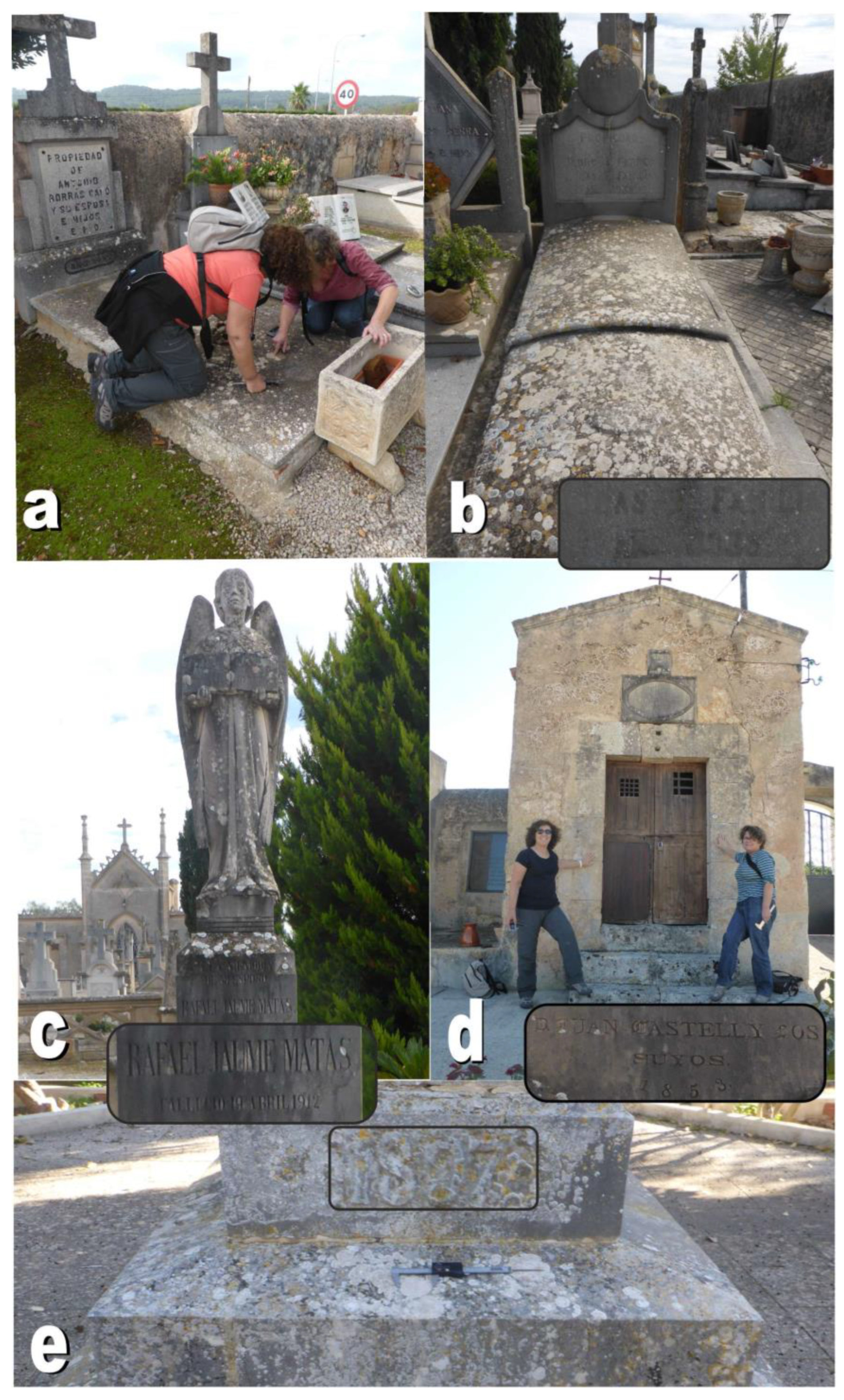 Applsci 13 06739 g007 Applsci 13 06739 g007