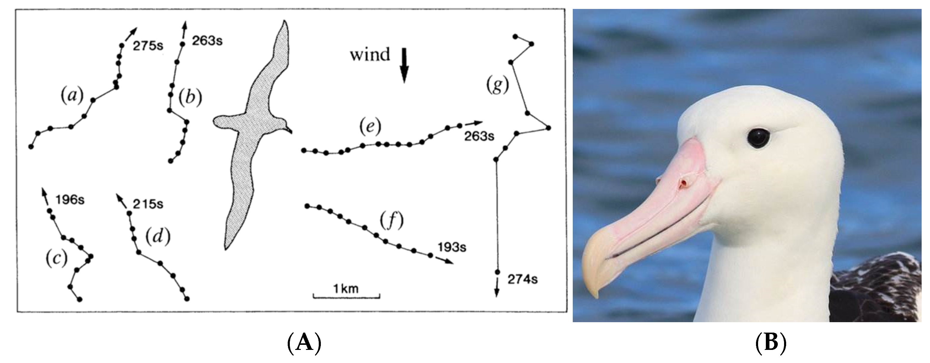 Applsci 13 06743 g001 Applsci 13 06743 g001