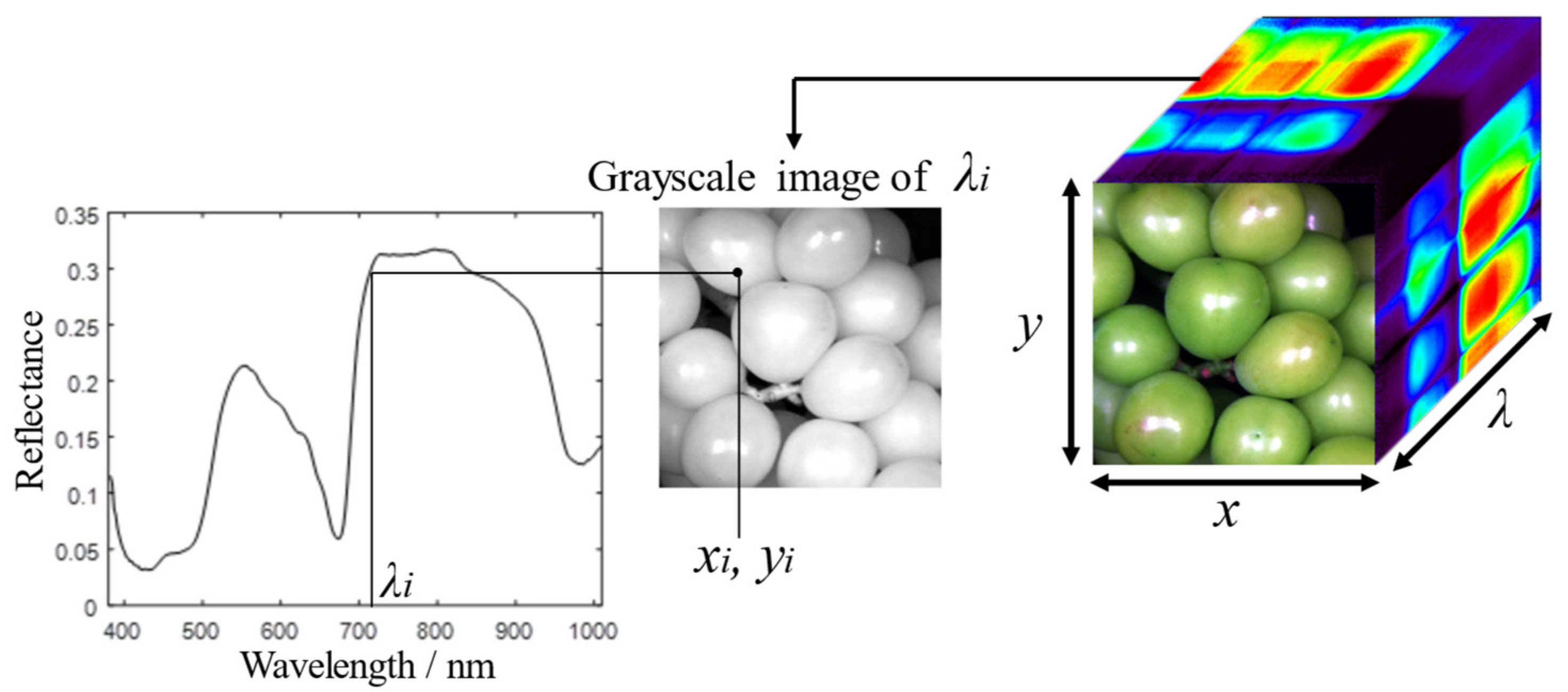 Applsci 13 06776 g001 Applsci 13 06776 g001