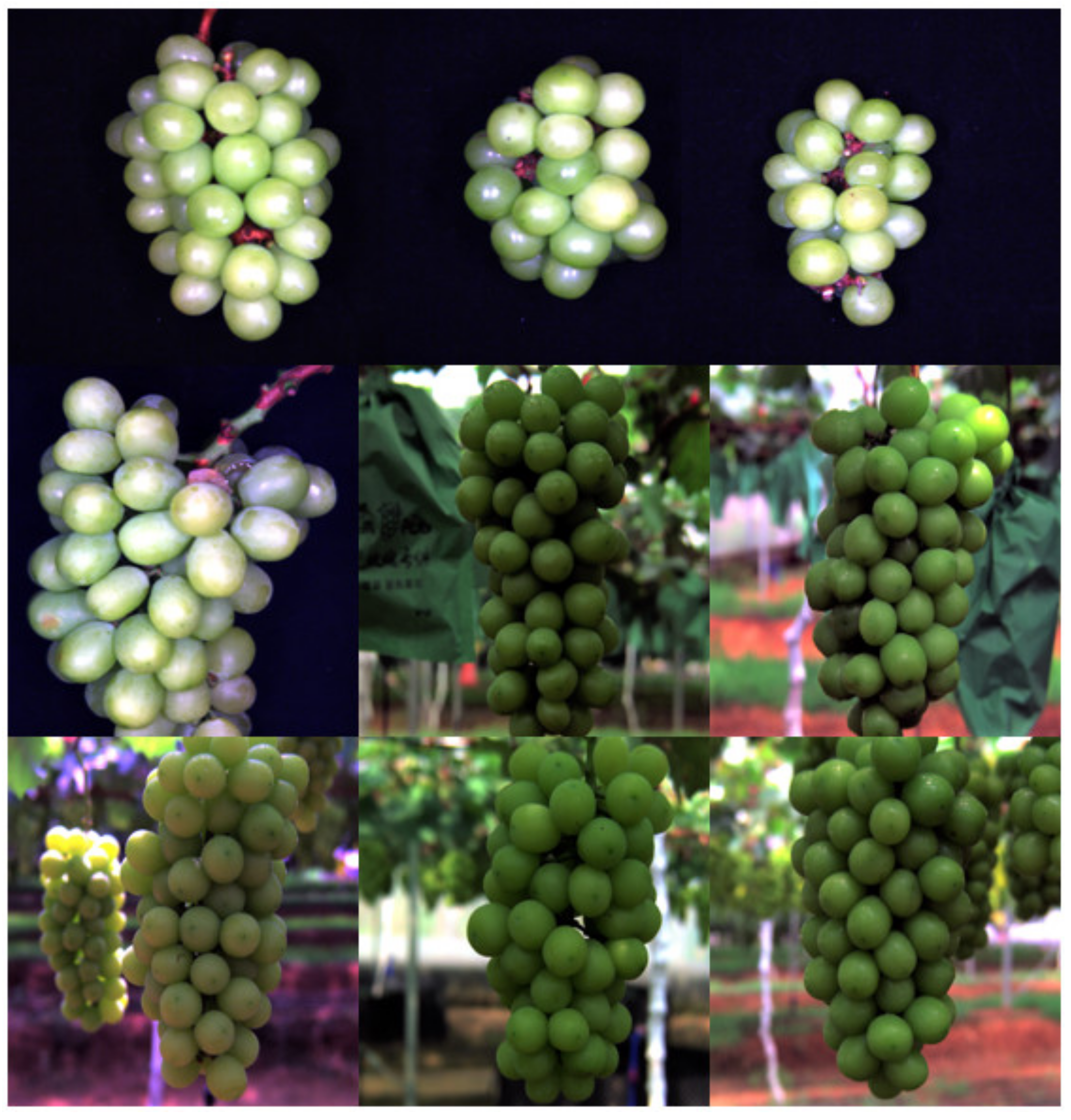 Applsci 13 06776 g004 Applsci 13 06776 g004