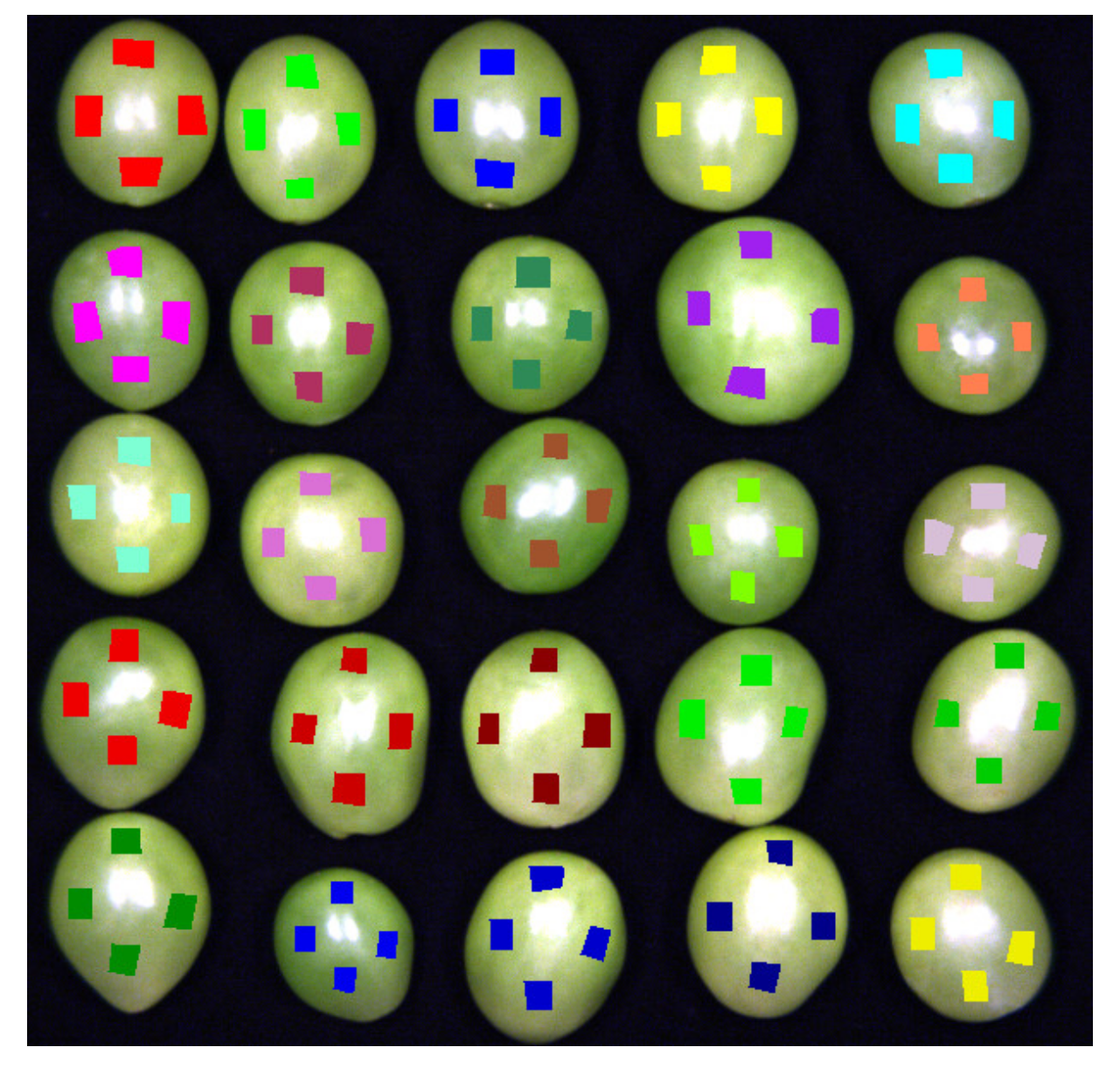 Applsci 13 06776 g007 Applsci 13 06776 g007