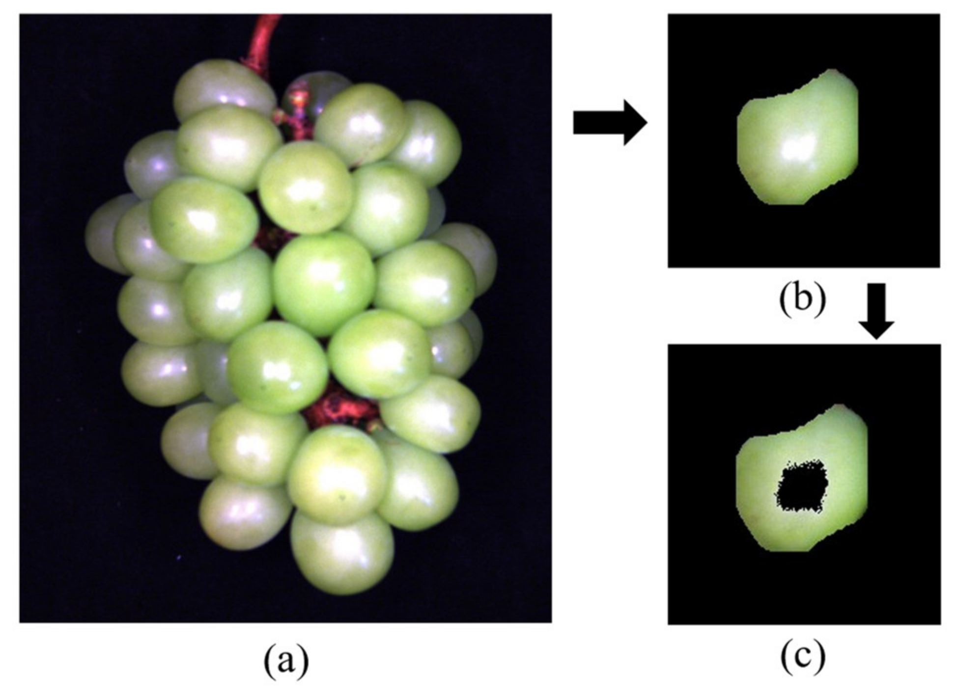Applsci 13 06776 g013 Applsci 13 06776 g013