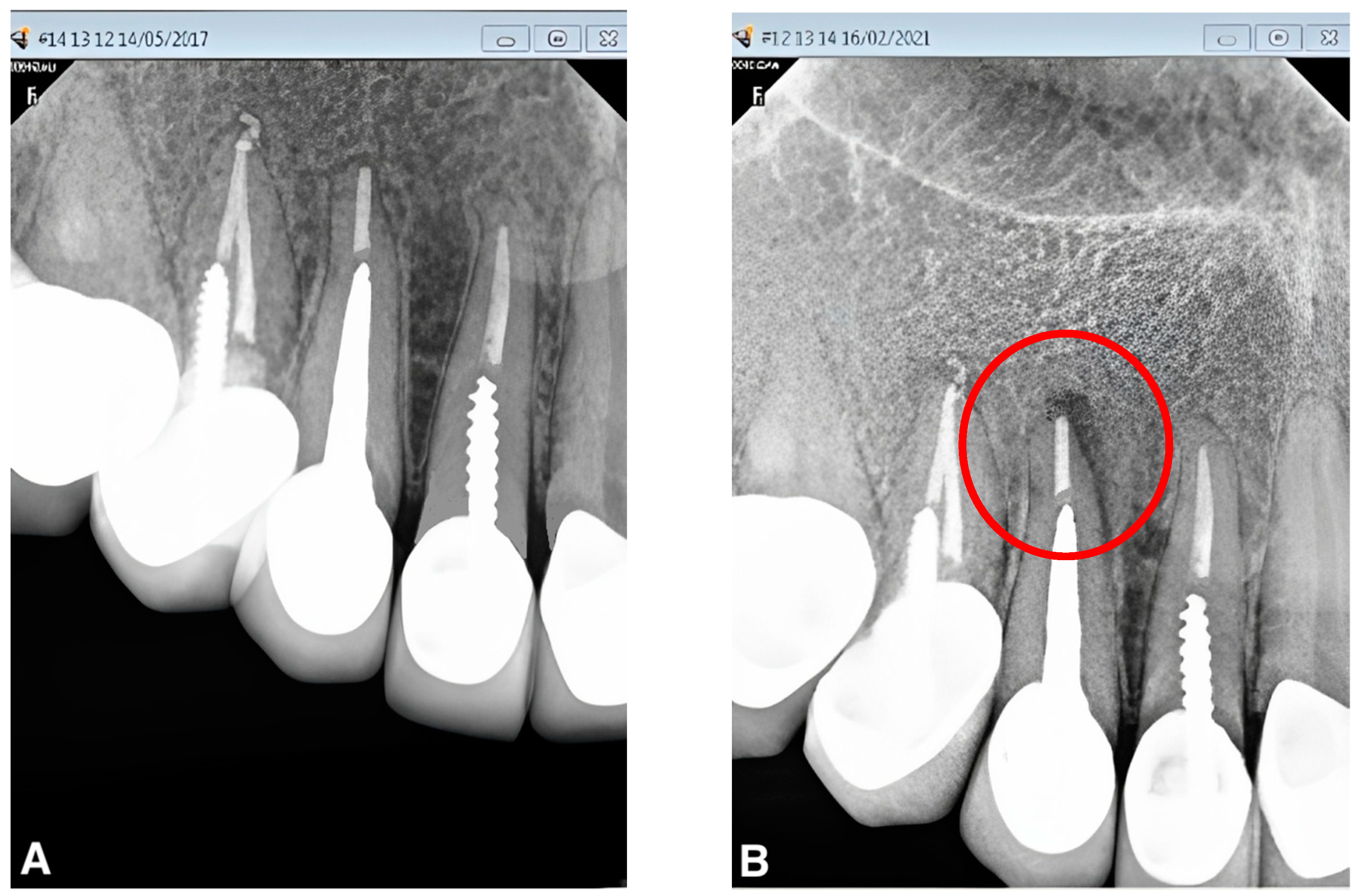 Applsci 13 06814 g003