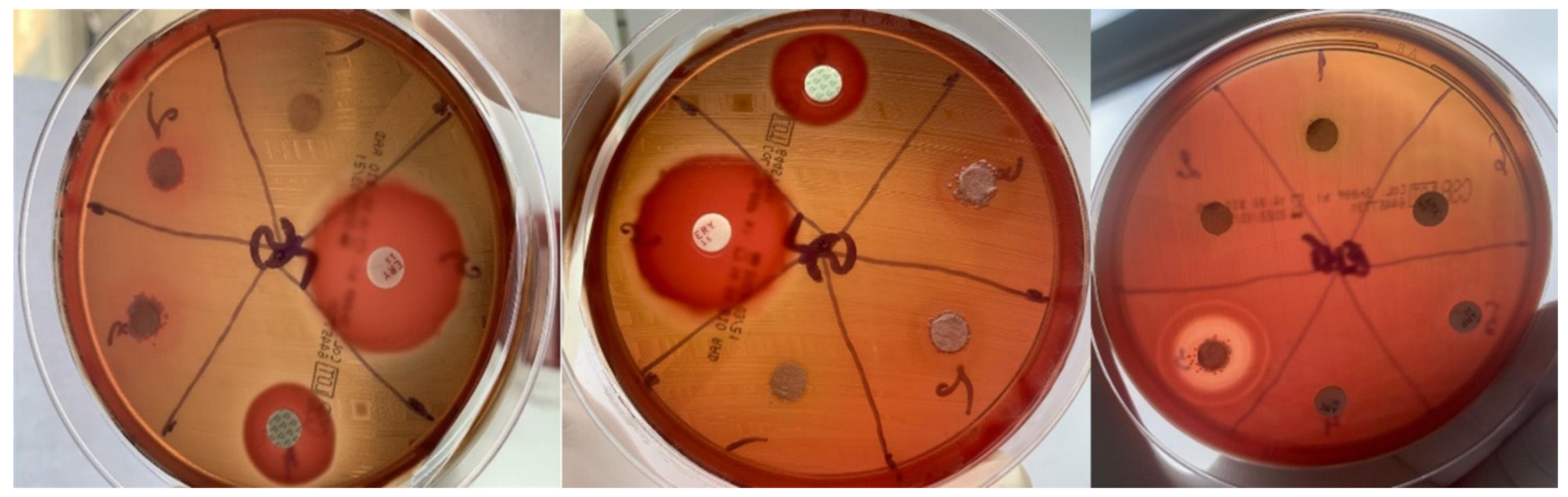 Applsci 13 06830 g004