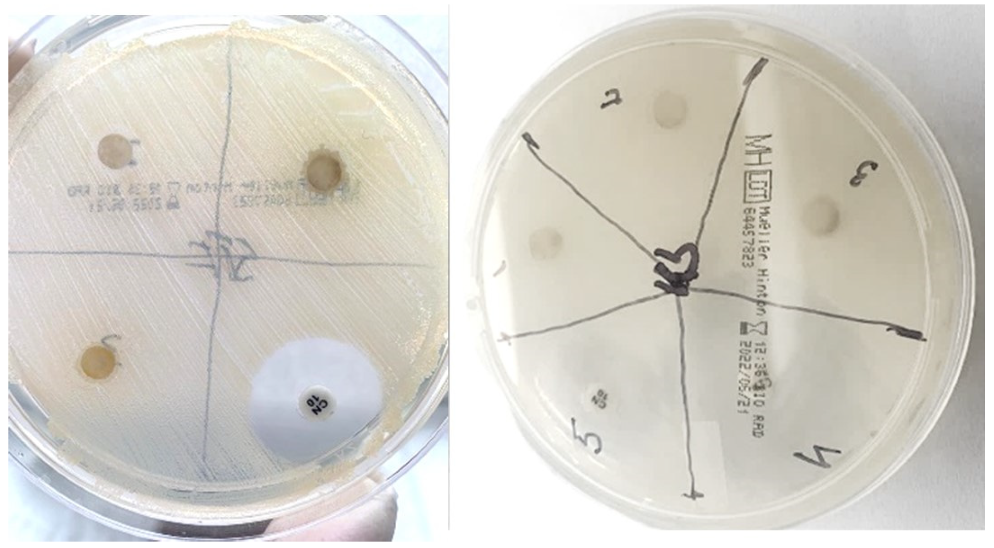 Applsci 13 06830 g005