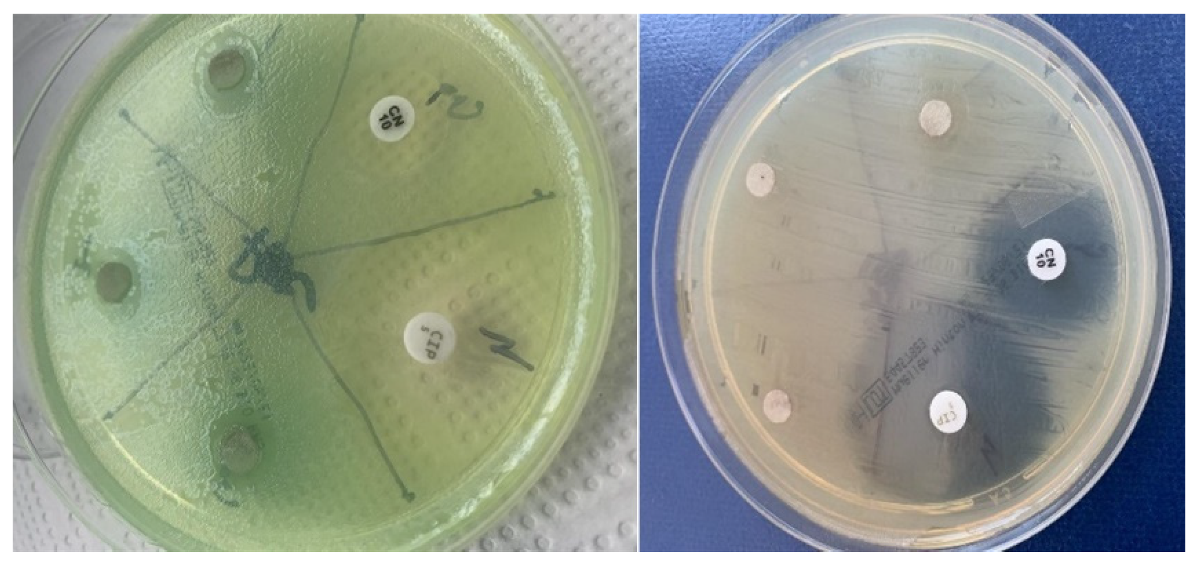 Applsci 13 06830 g006