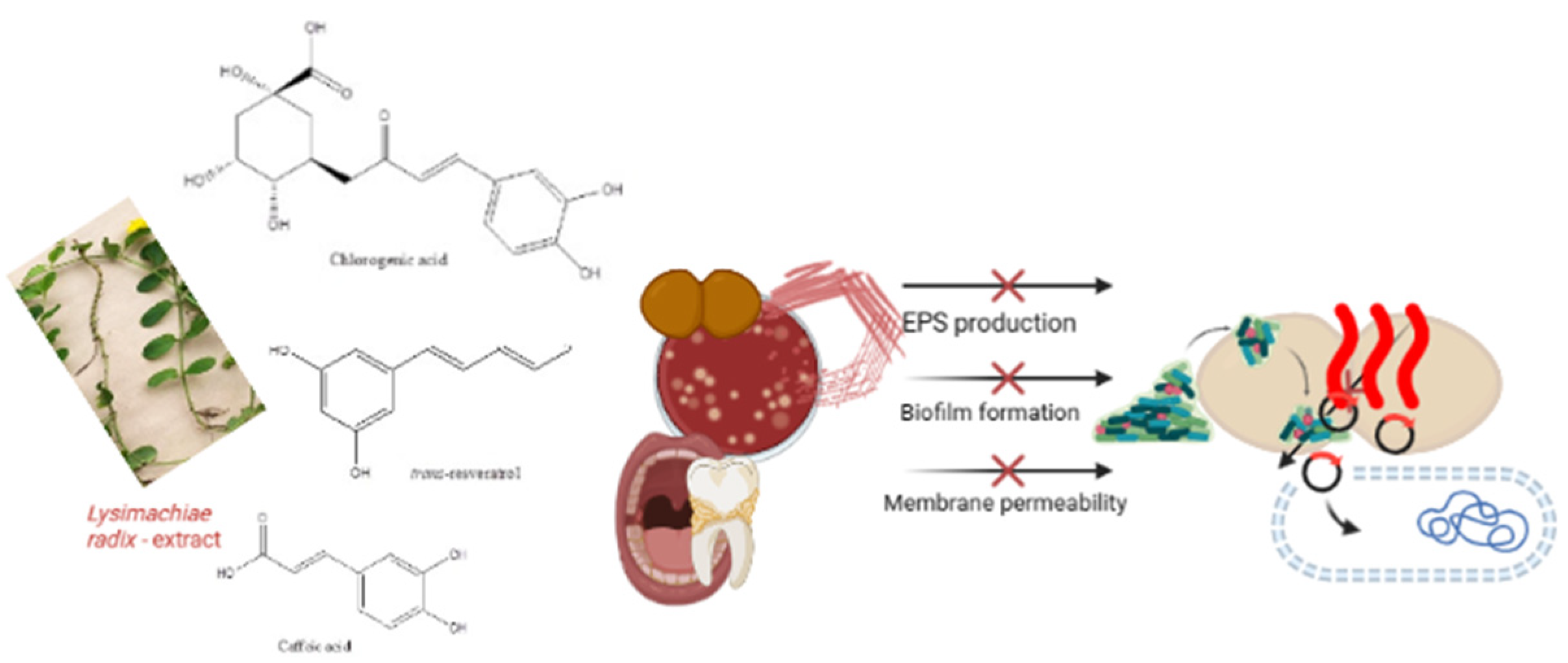 Applsci 13 06830 sch001