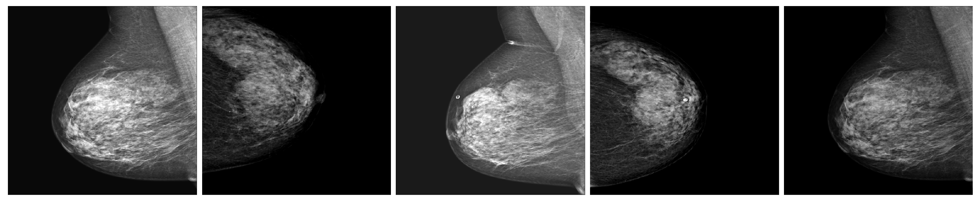 Applsci 13 06894 g001