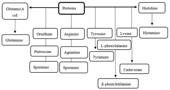 Applsci 13 06907 g001