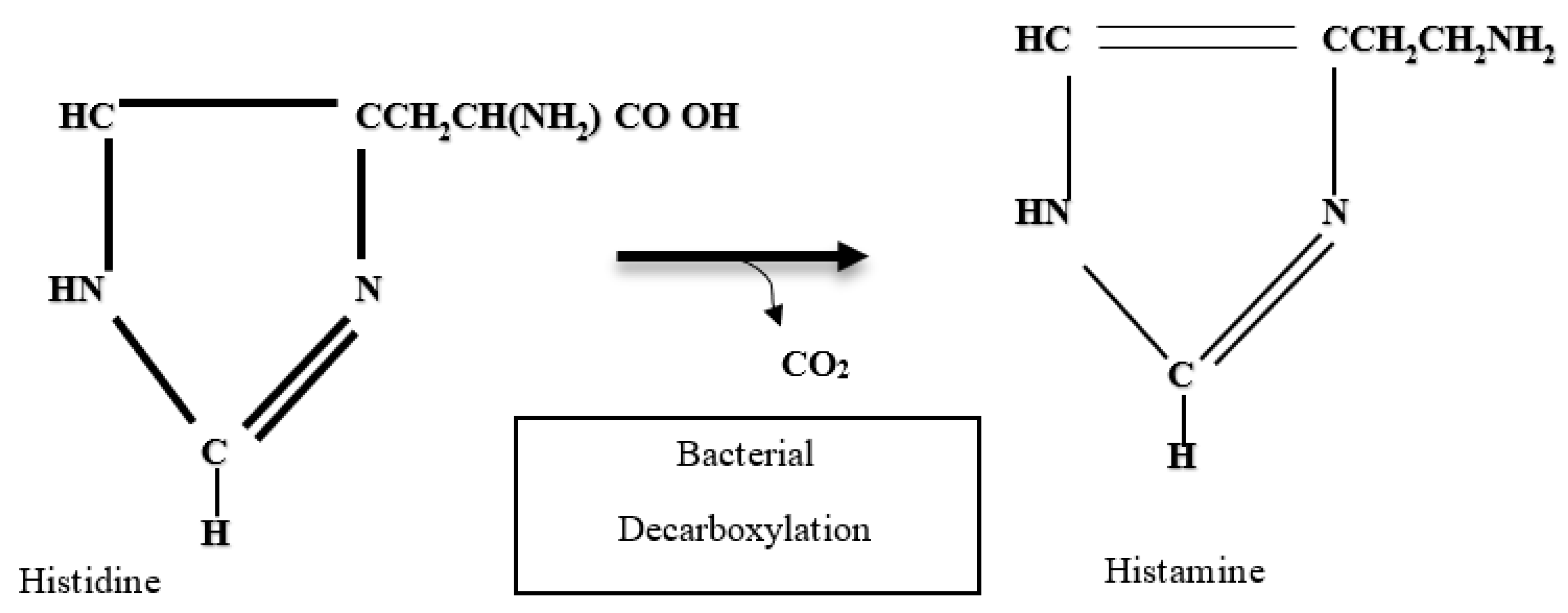 Applsci 13 06907 g002