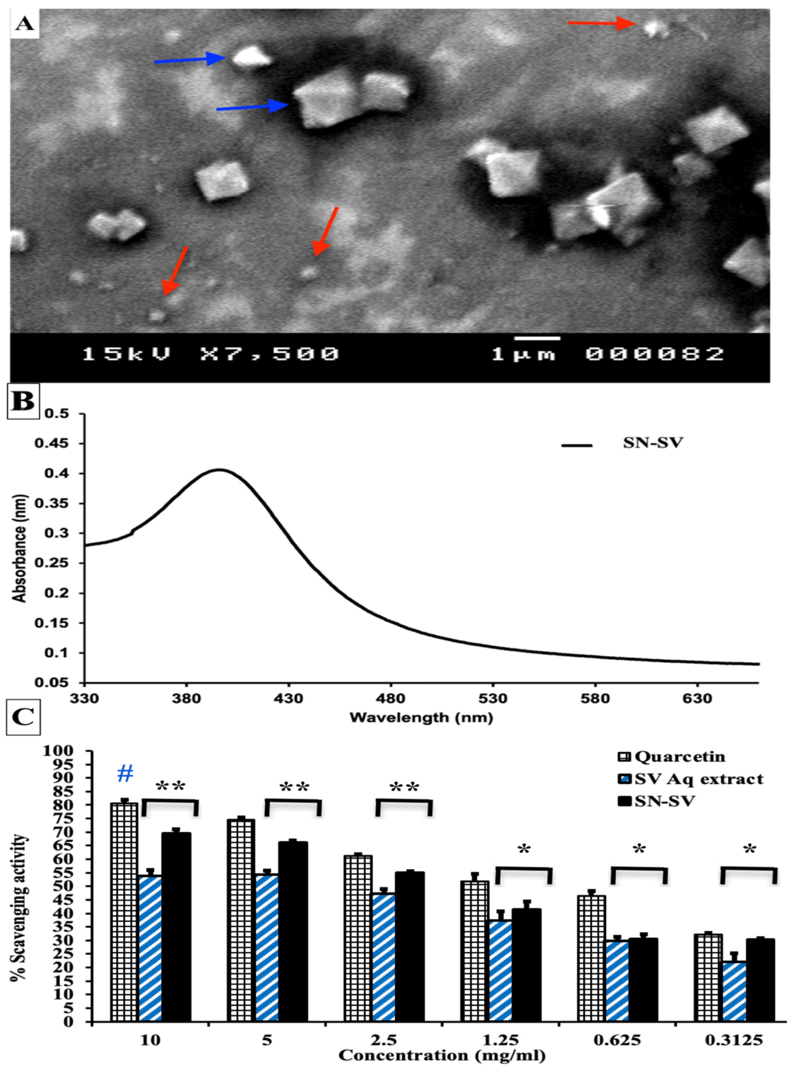 Applsci 13 06912 g002