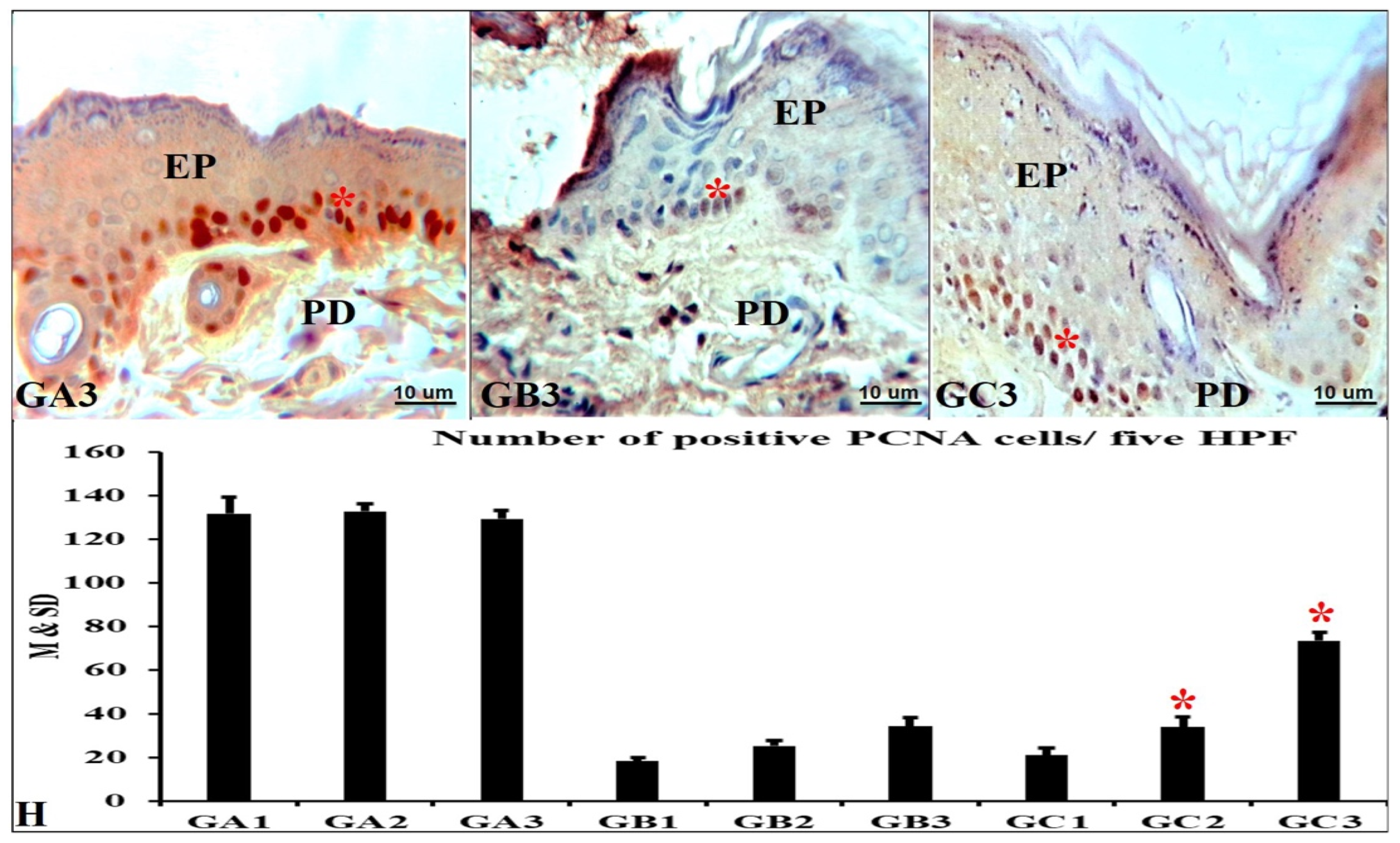 Applsci 13 06912 g005