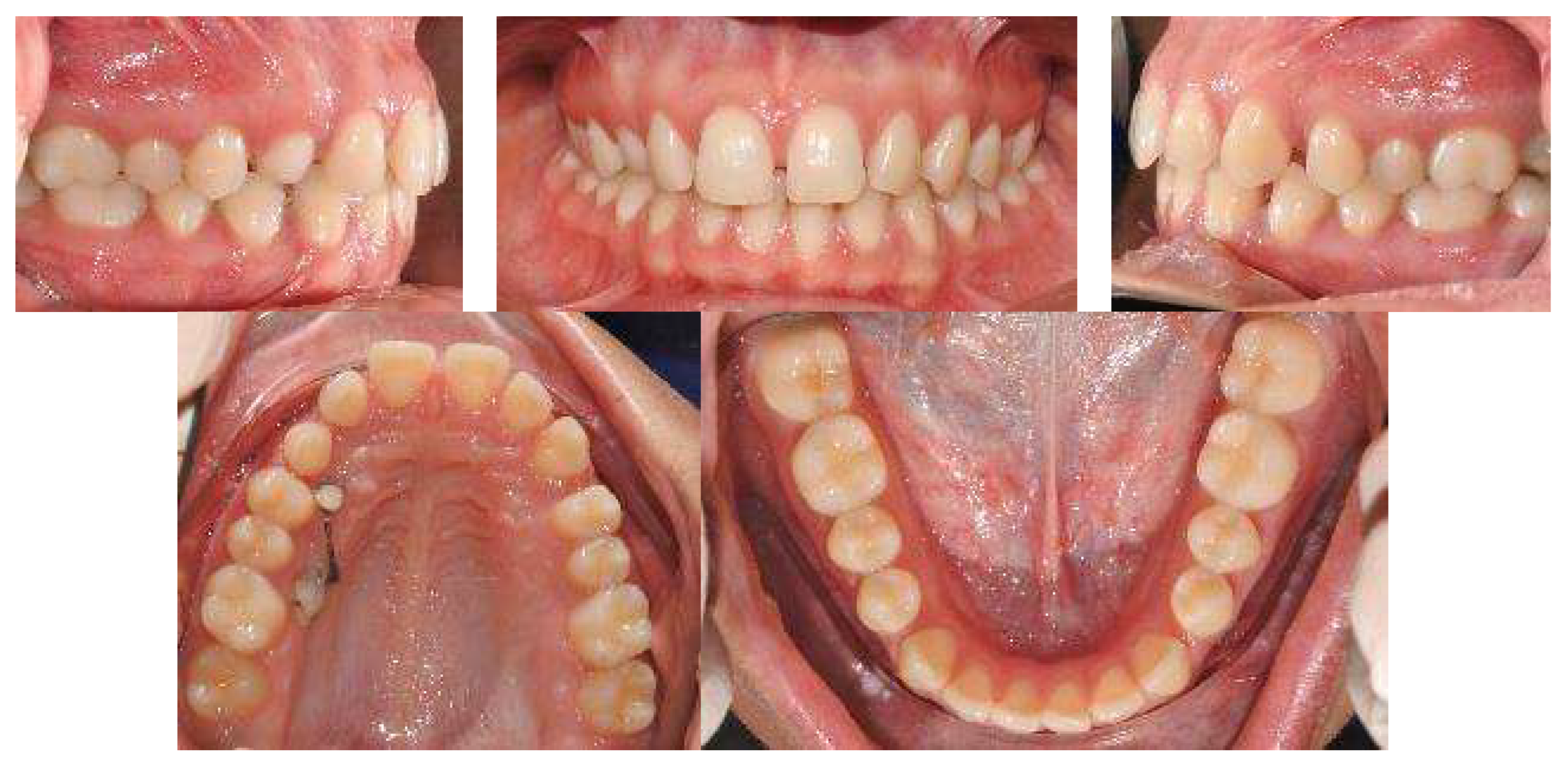 Applsci 13 06914 g003 Applsci 13 06914 g003