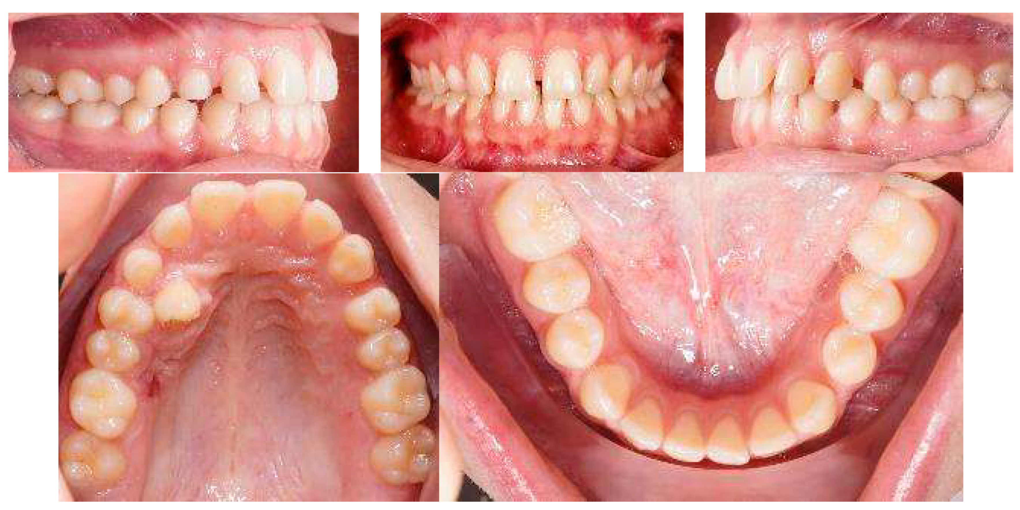 Applsci 13 06914 g004 Applsci 13 06914 g004